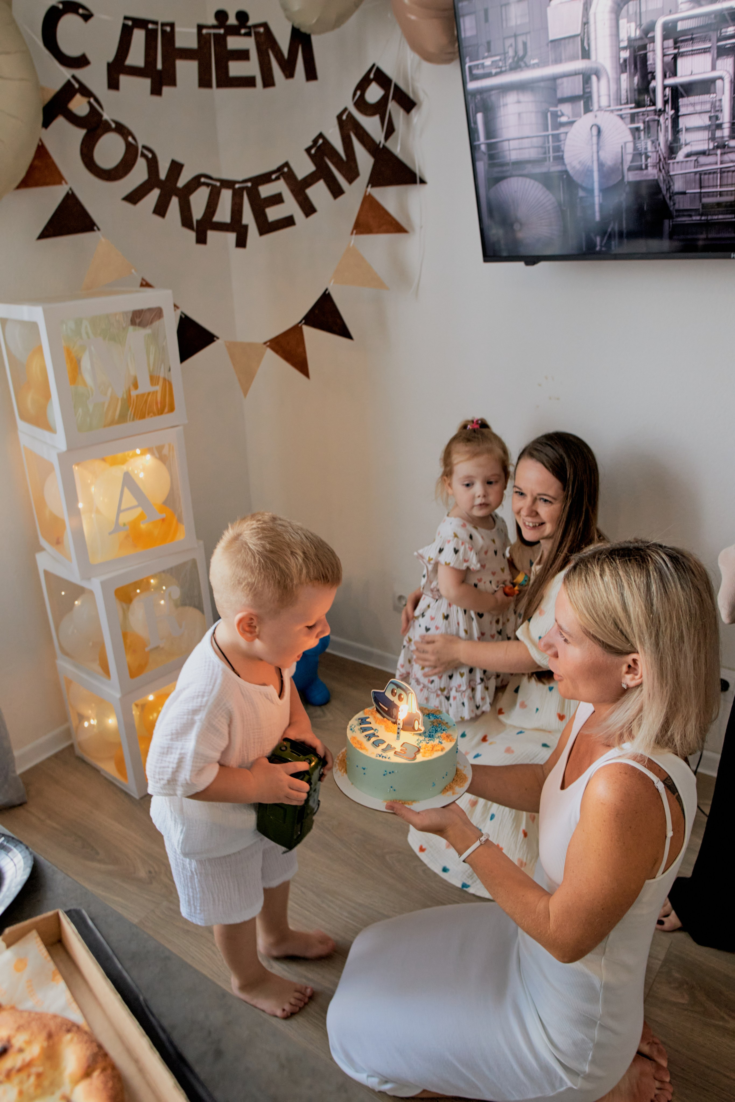 Три кота. Фотограф Москва