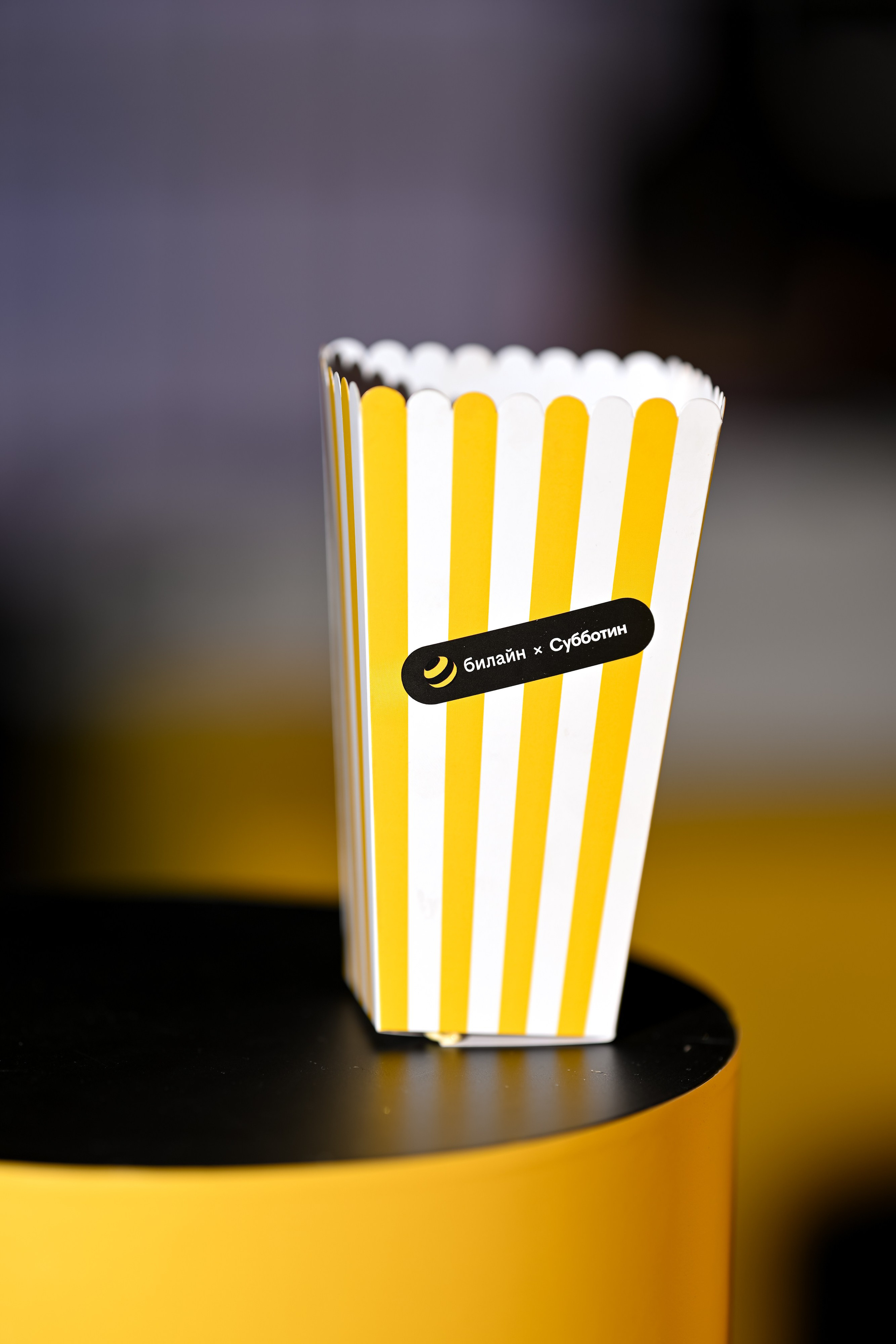 Субботин КОНФА 2025. Портфолио