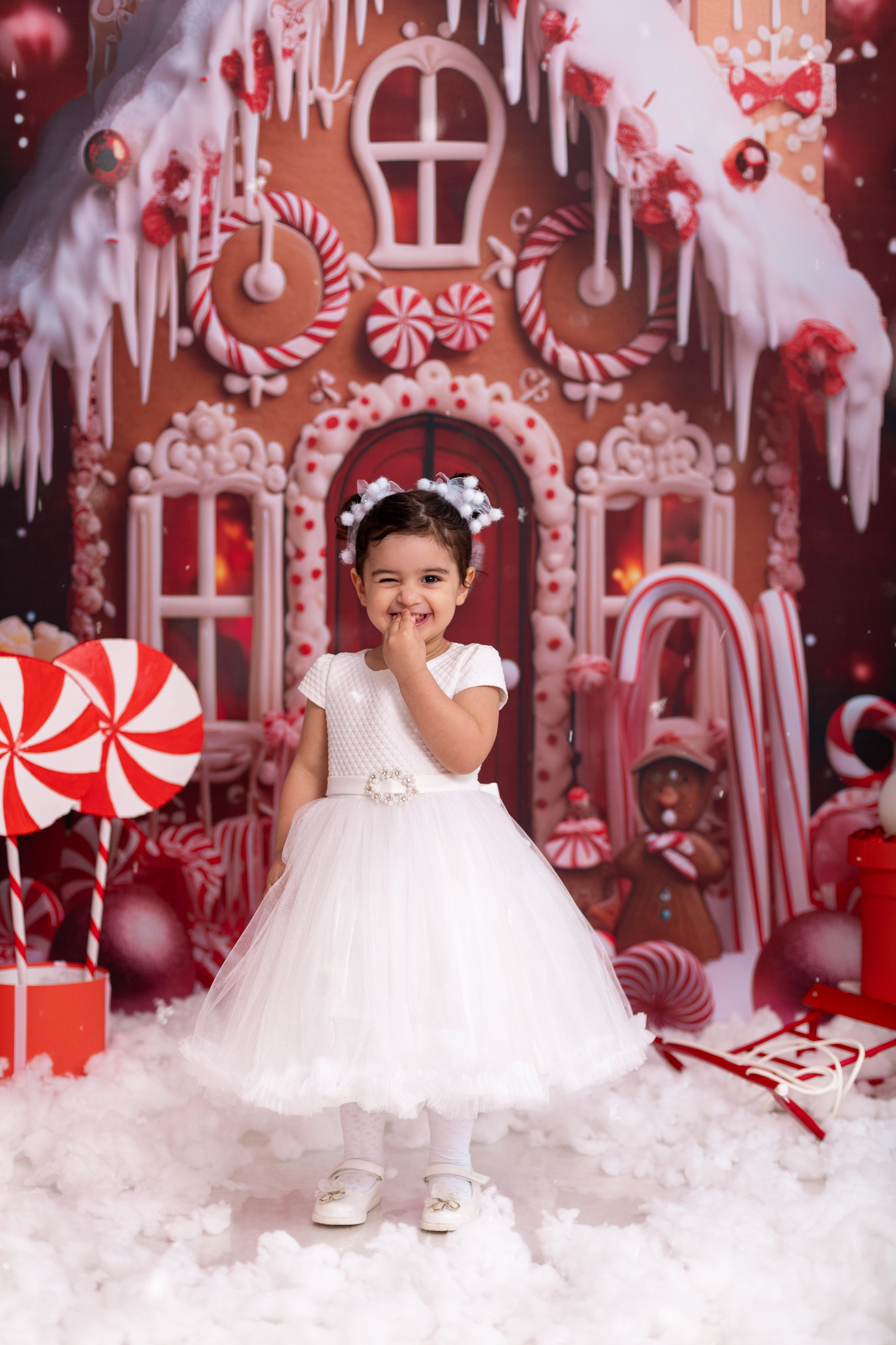 Новый год. Фотограф новорождённых Псков