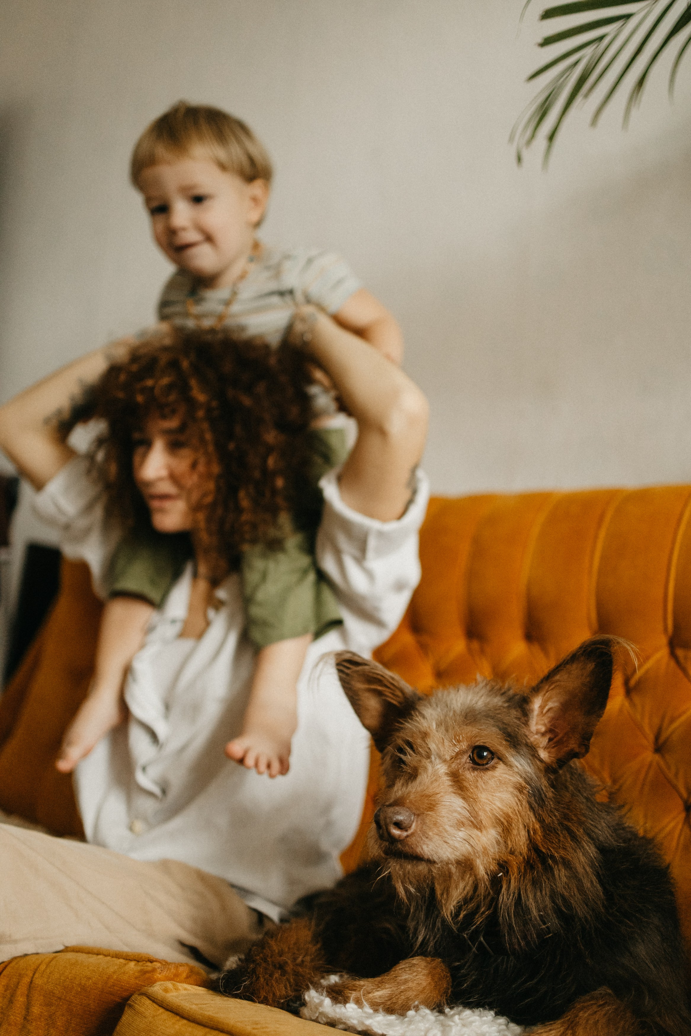 Ира, Руслан, Ива, Макар. Главная