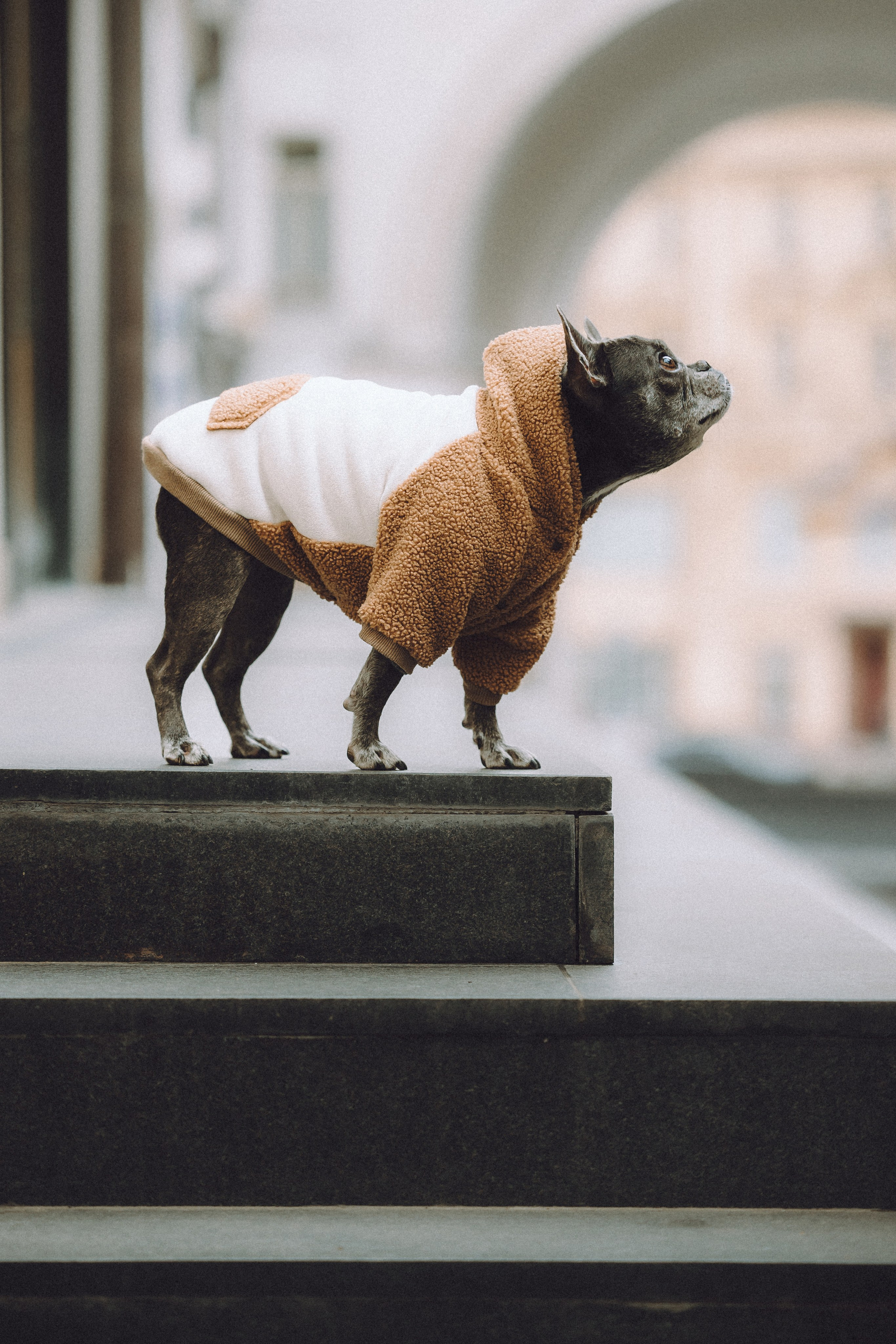 Юля, Вова и Моня