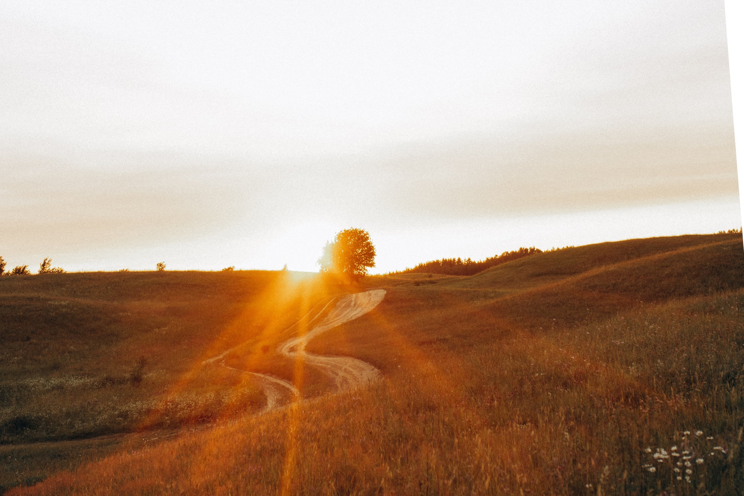Портфолио. Семейный лайфстайл фотограф Ксюша Кирьянова