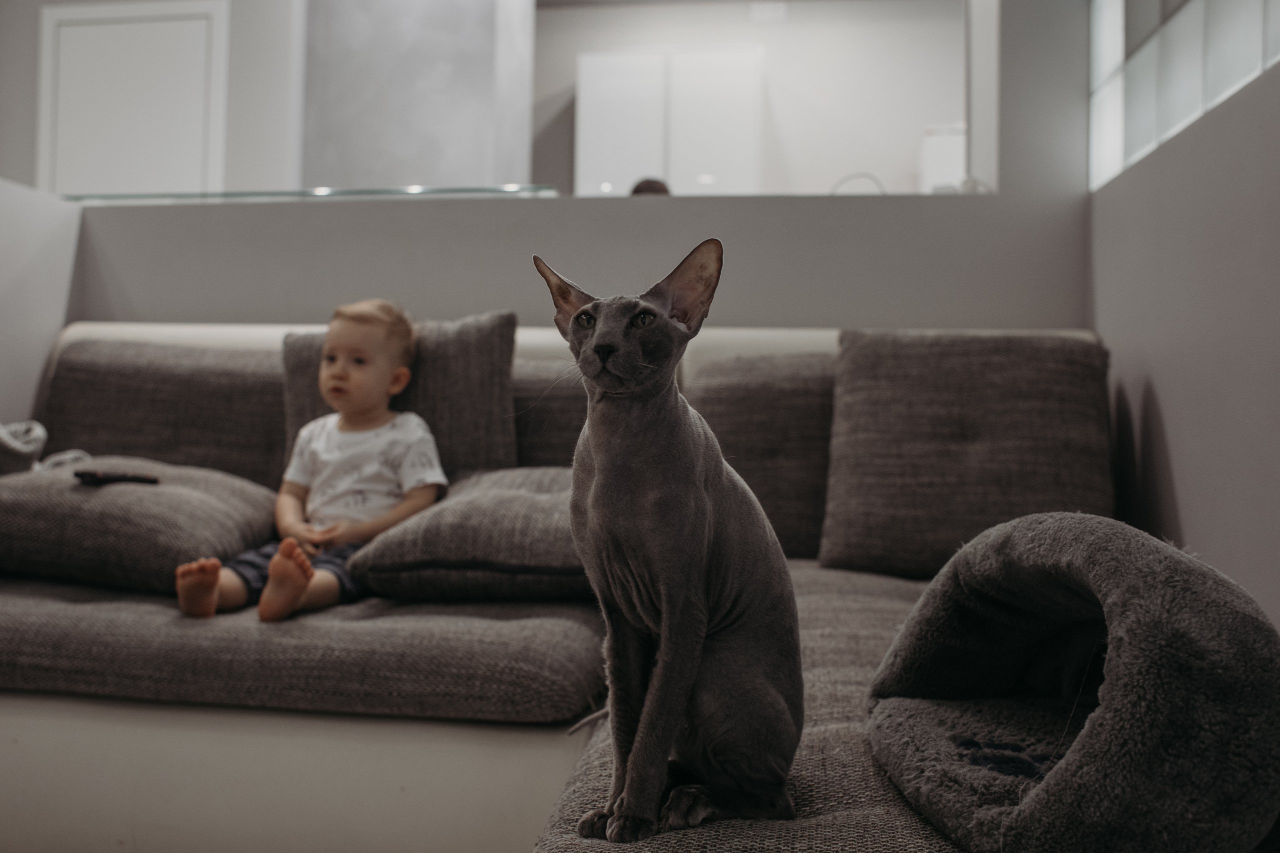 Полина, Александр и Лео. Семейный фотограф в Санкт-Петербурге Ева Маркова