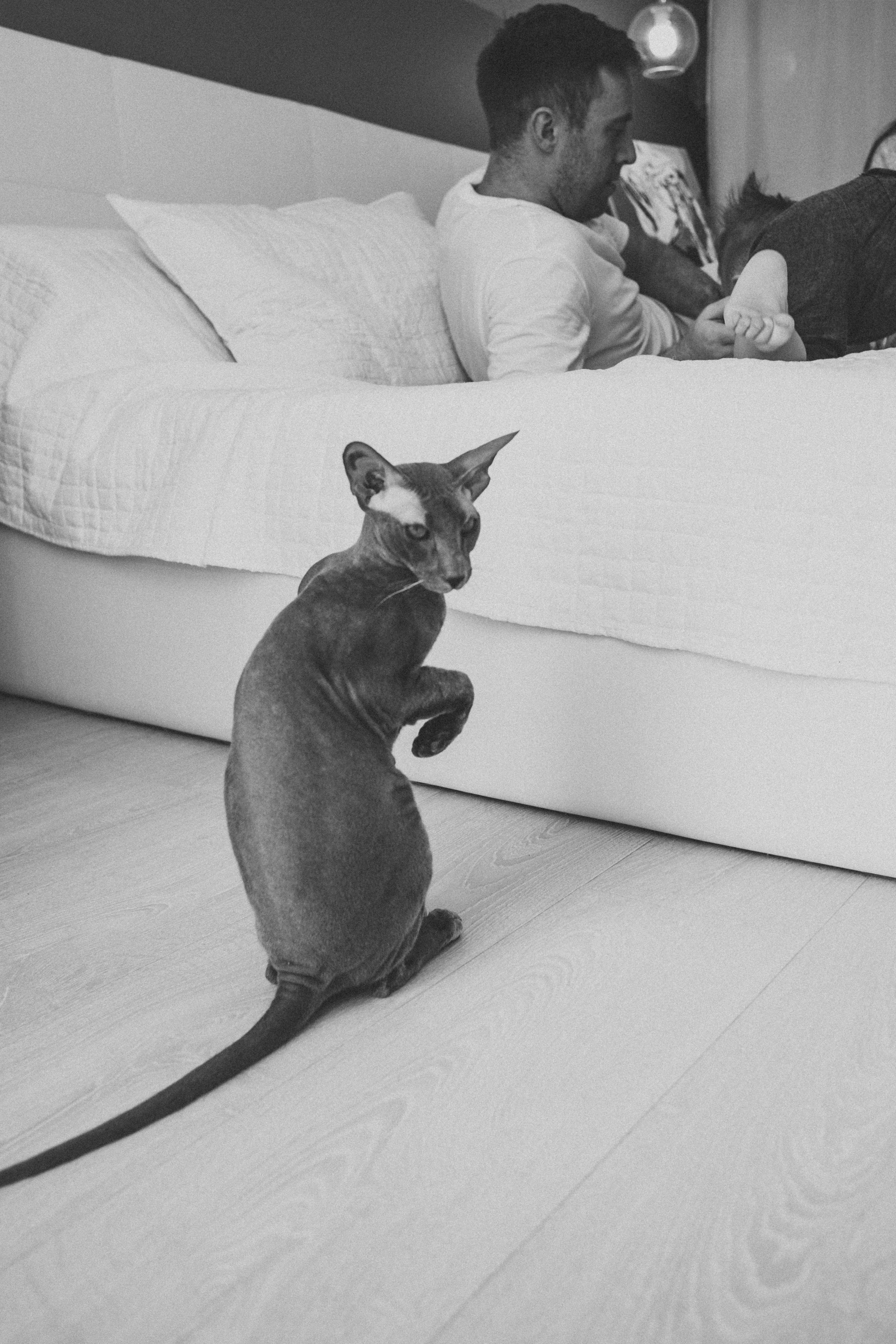 Полина, Александр и Лео. Семейный фотограф в Санкт-Петербурге Ева Маркова