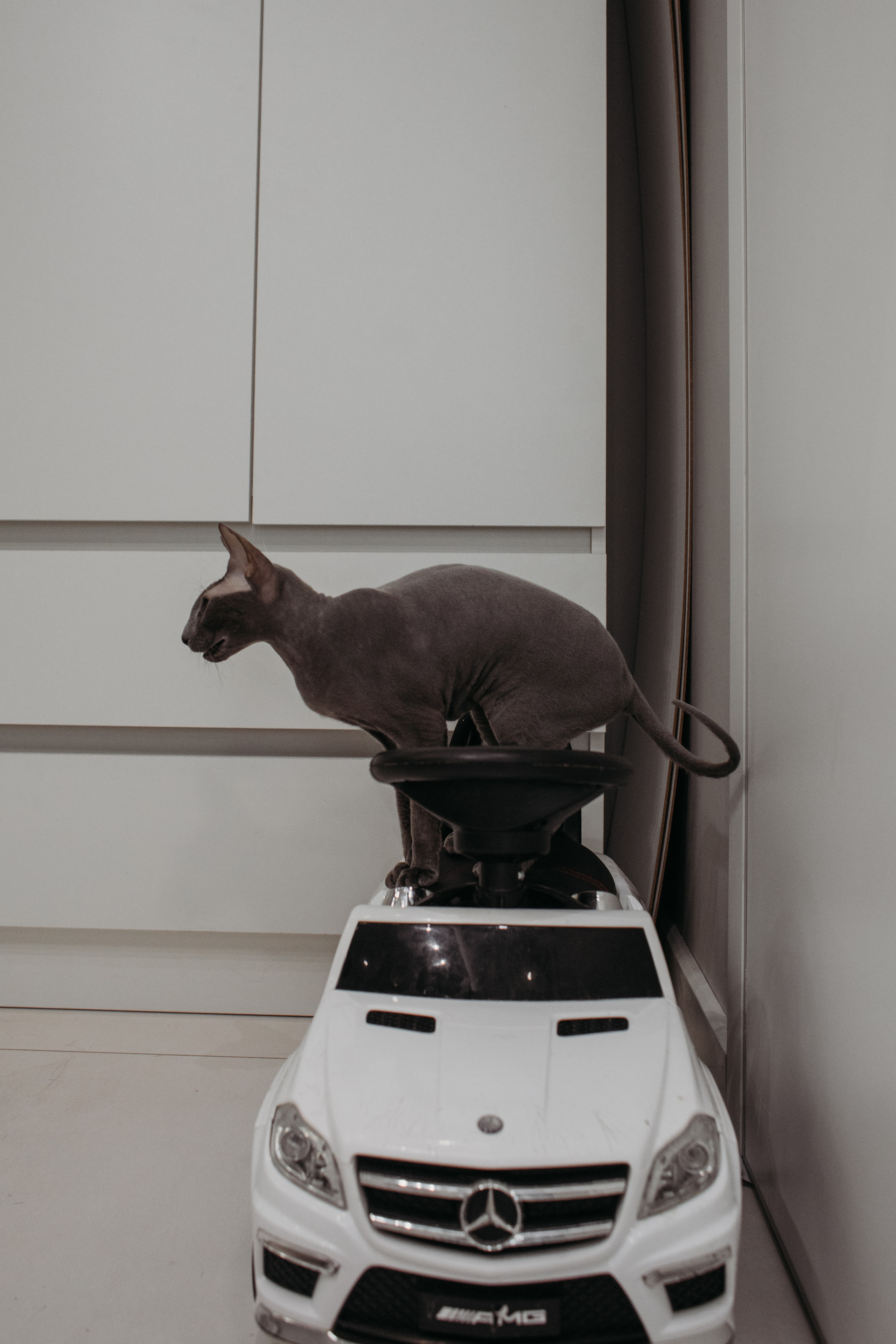 Полина, Александр и Лео. Семейный фотограф в Санкт-Петербурге Ева Маркова