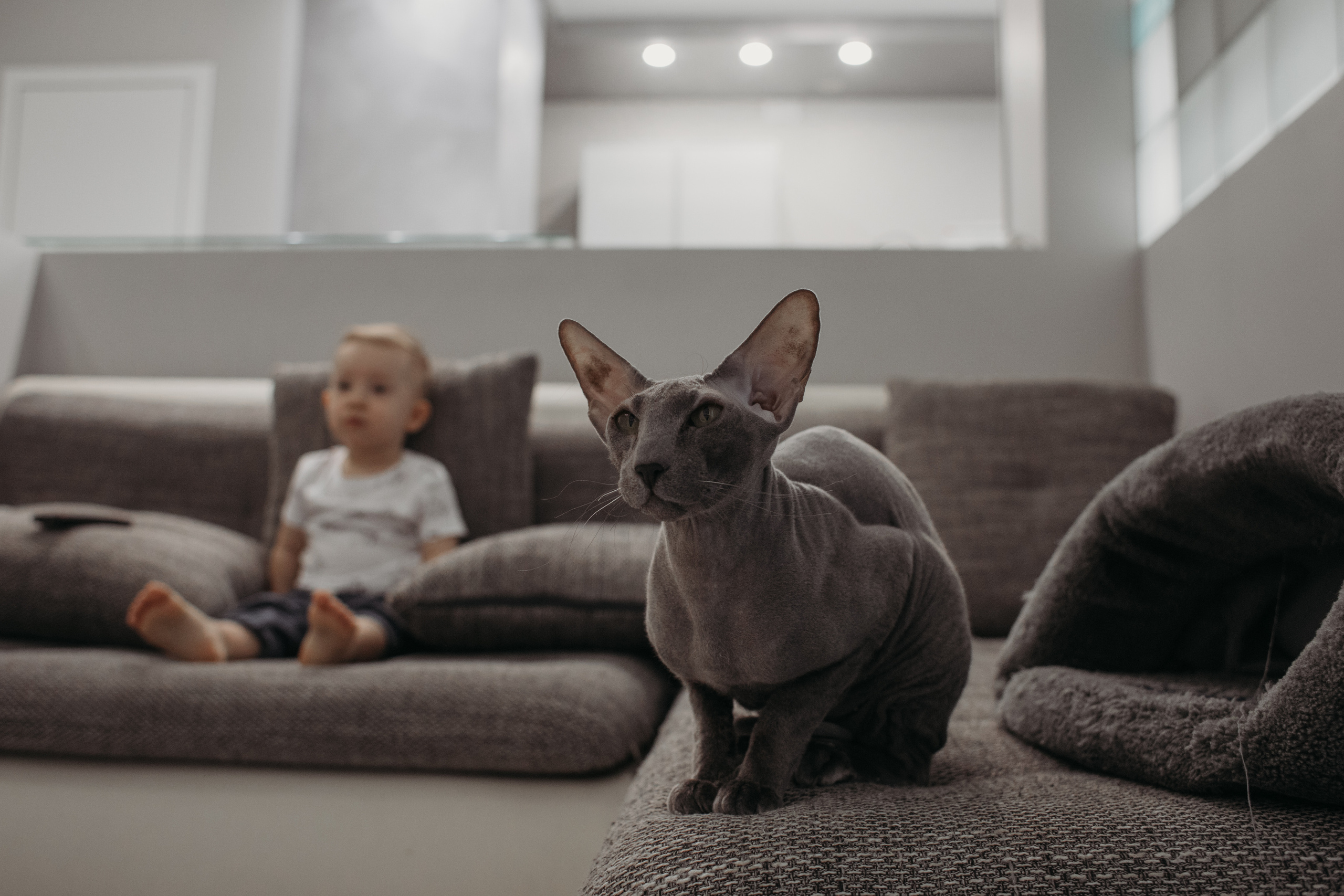 Полина, Александр и Лео. Семейный фотограф в Санкт-Петербурге Ева Маркова