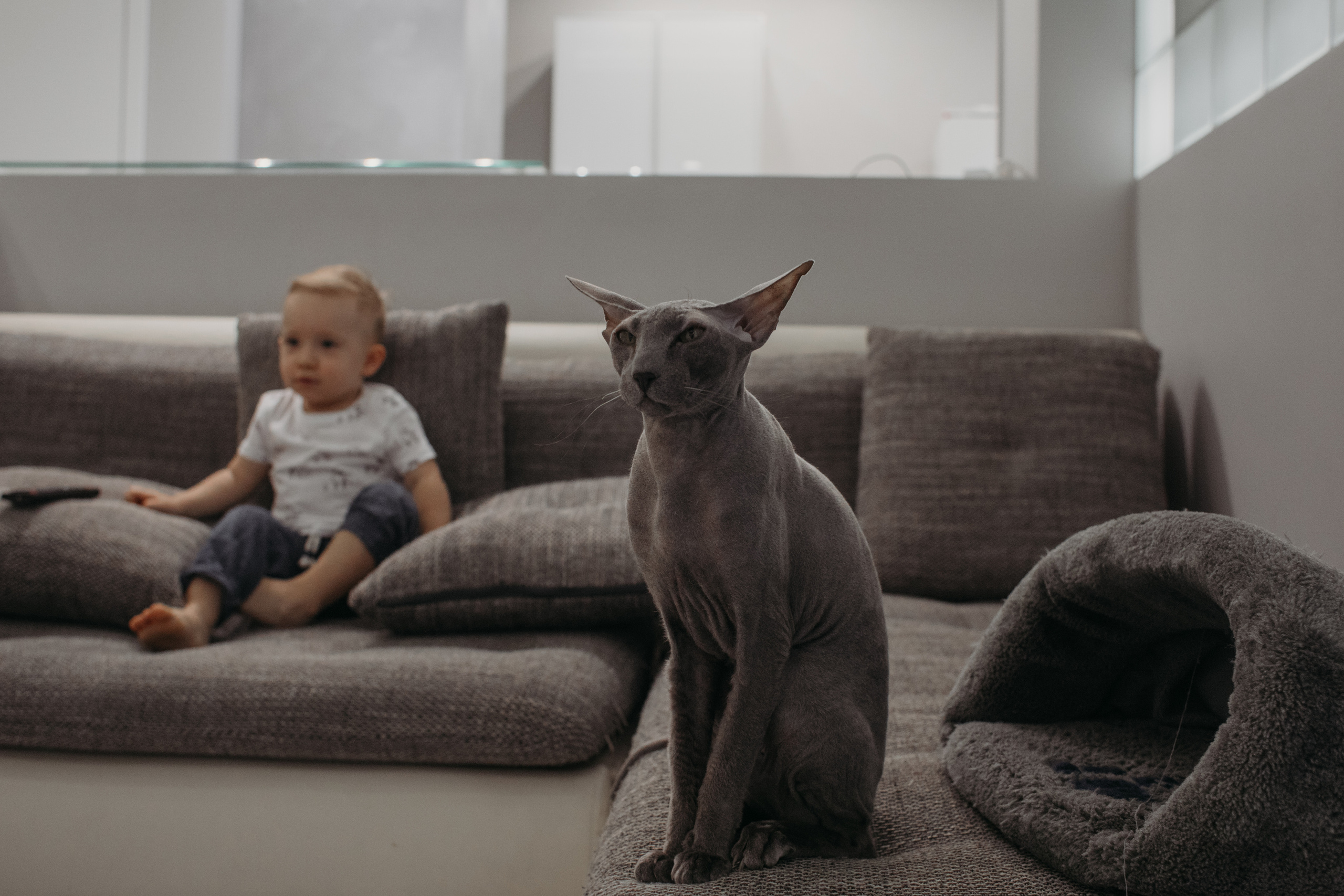 Полина, Александр и Лео. Семейный фотограф в Санкт-Петербурге Ева Маркова