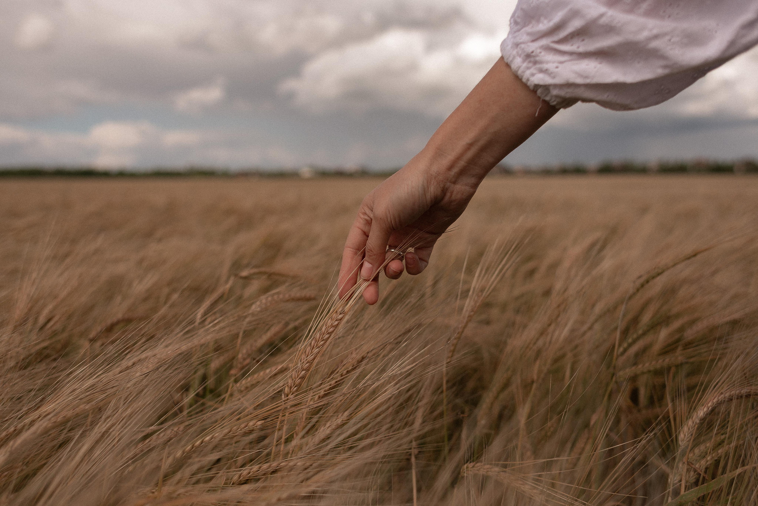 По дороге с облаками. Семейный фотограф в Санкт-Петербурге Ева Маркова