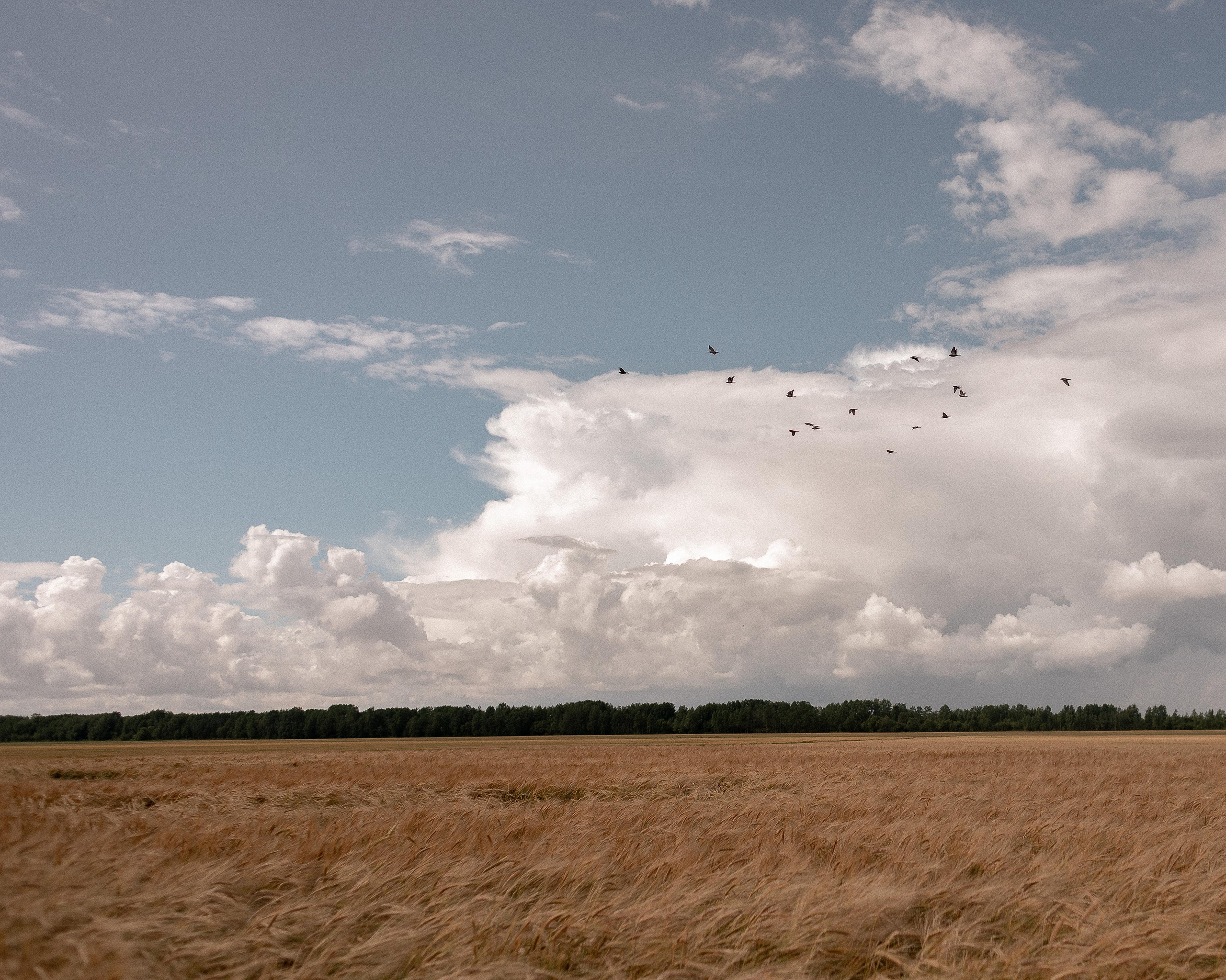 По дороге с облаками. Семейный фотограф в Санкт-Петербурге Ева Маркова