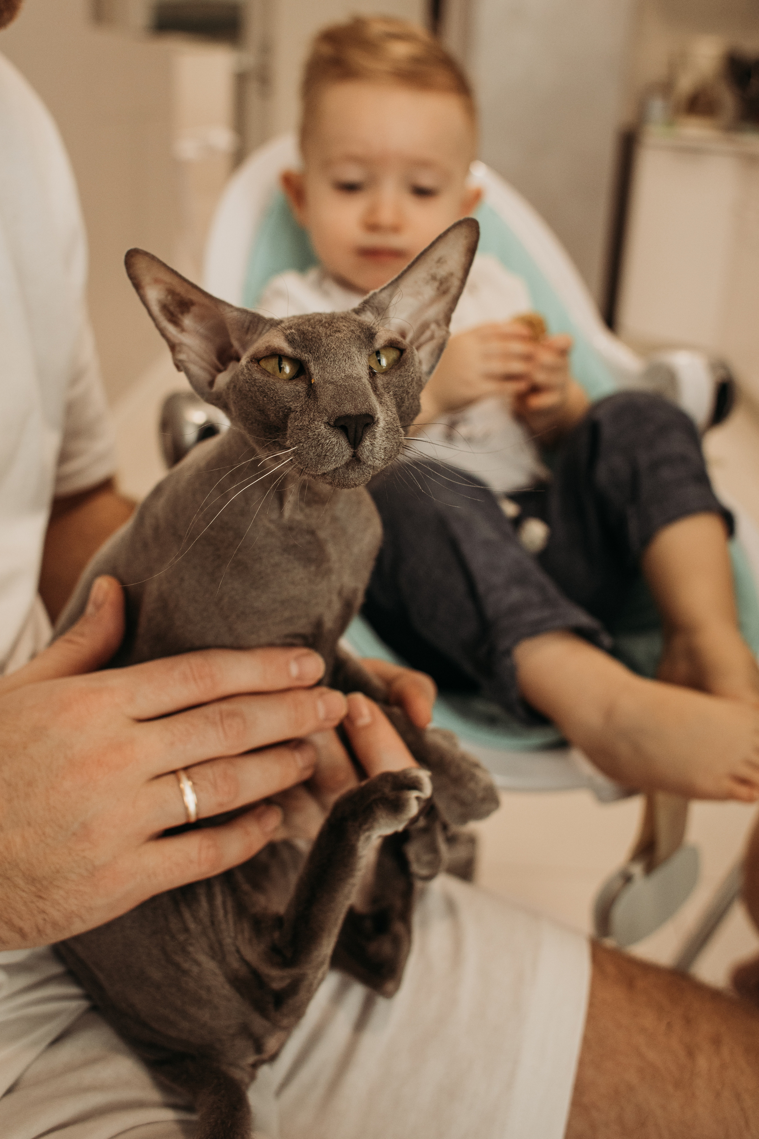 Полина, Александр и Лео. Семейный фотограф в Санкт-Петербурге Ева Маркова