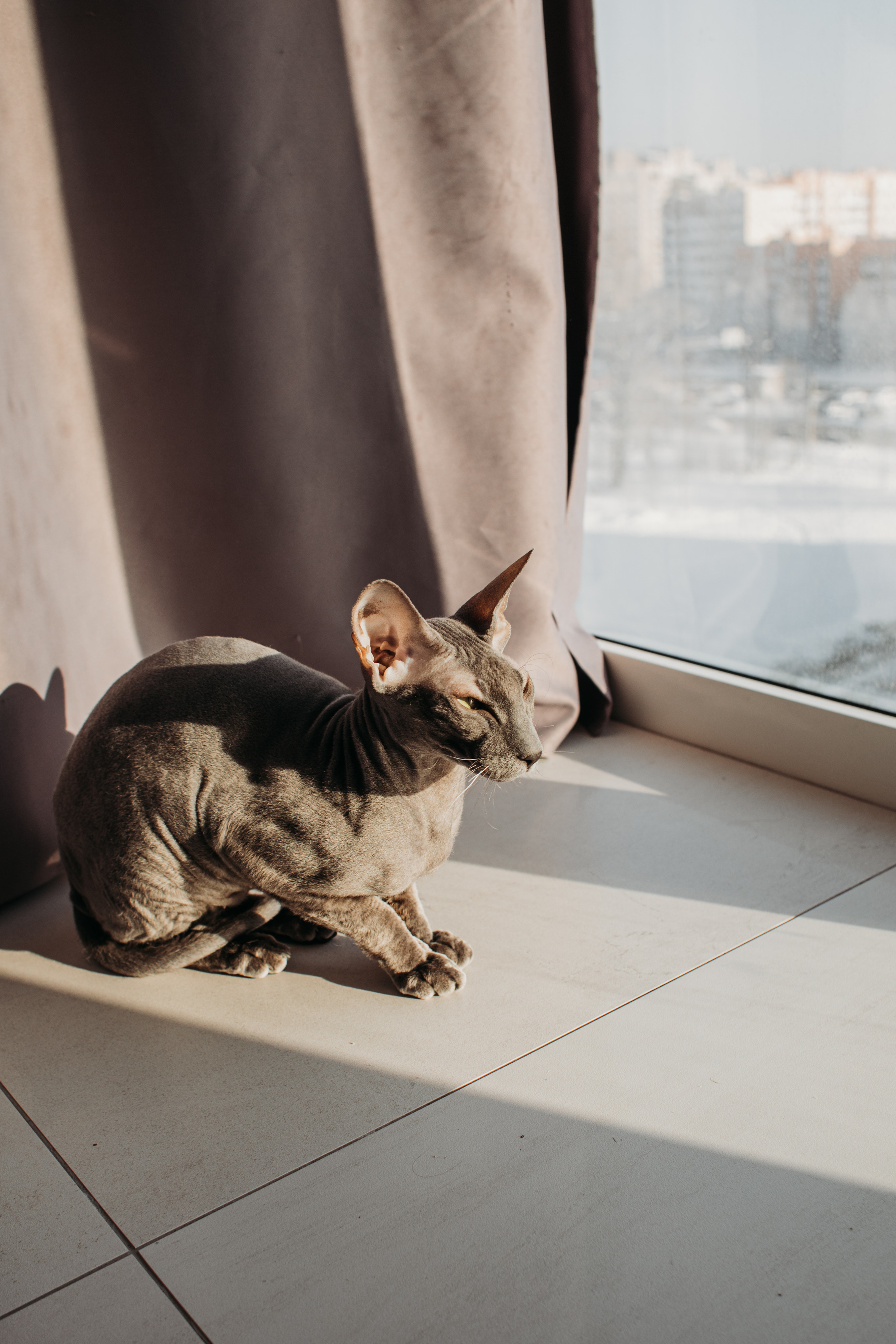 Полина, Александр и Лео. Семейный фотограф в Санкт-Петербурге Ева Маркова