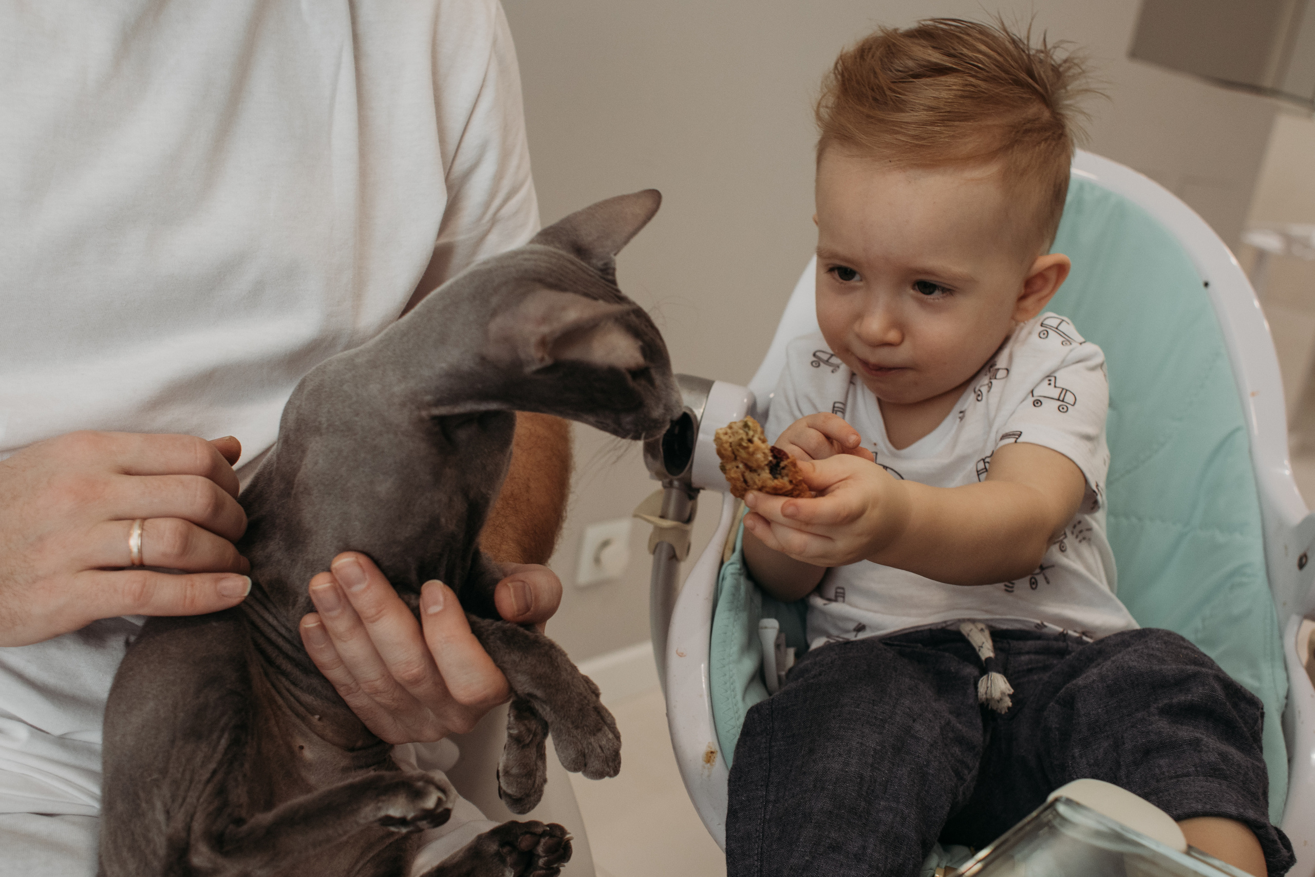 Полина, Александр и Лео. Семейный фотограф в Санкт-Петербурге Ева Маркова