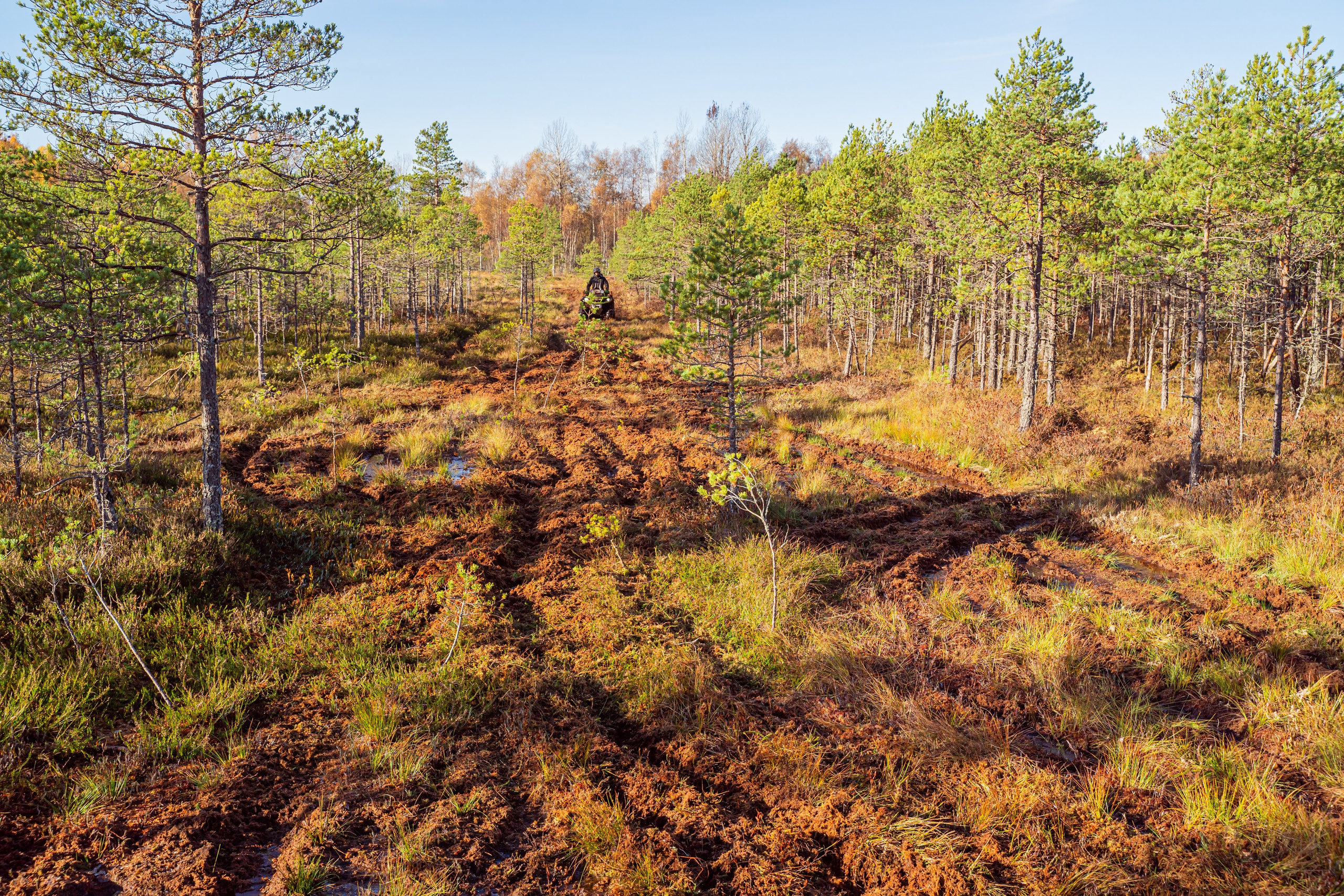 Спортивный репортажный фотограф Санкт-Петербург. Свадебный, семейный, портретный, репортажный фотограф в Санкт-Петербурге