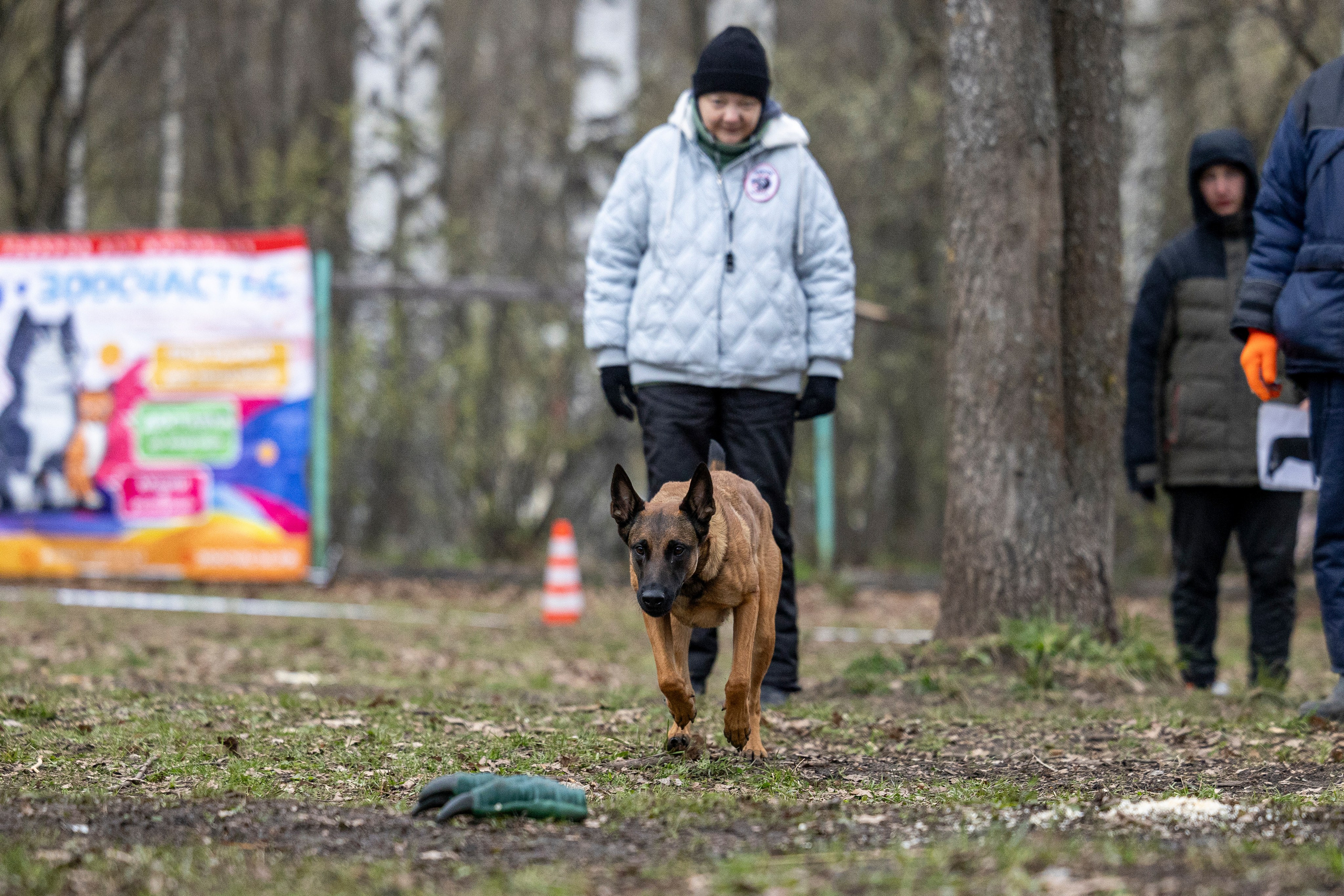 Квалификационные состязания по мондьорингу г. Вологда 11.05.24. Фотограф-анималист Анна Маринич