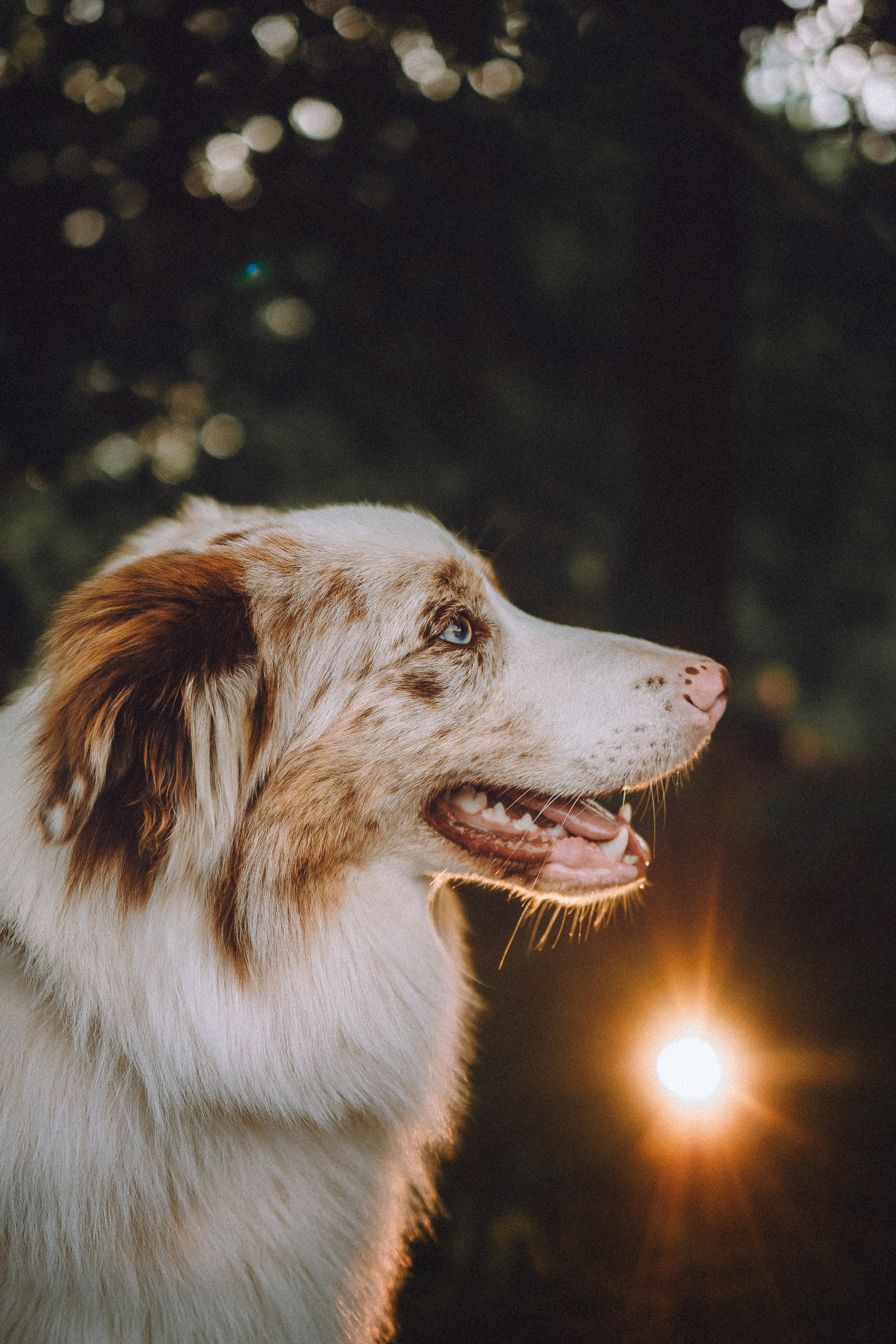 Один и его семья