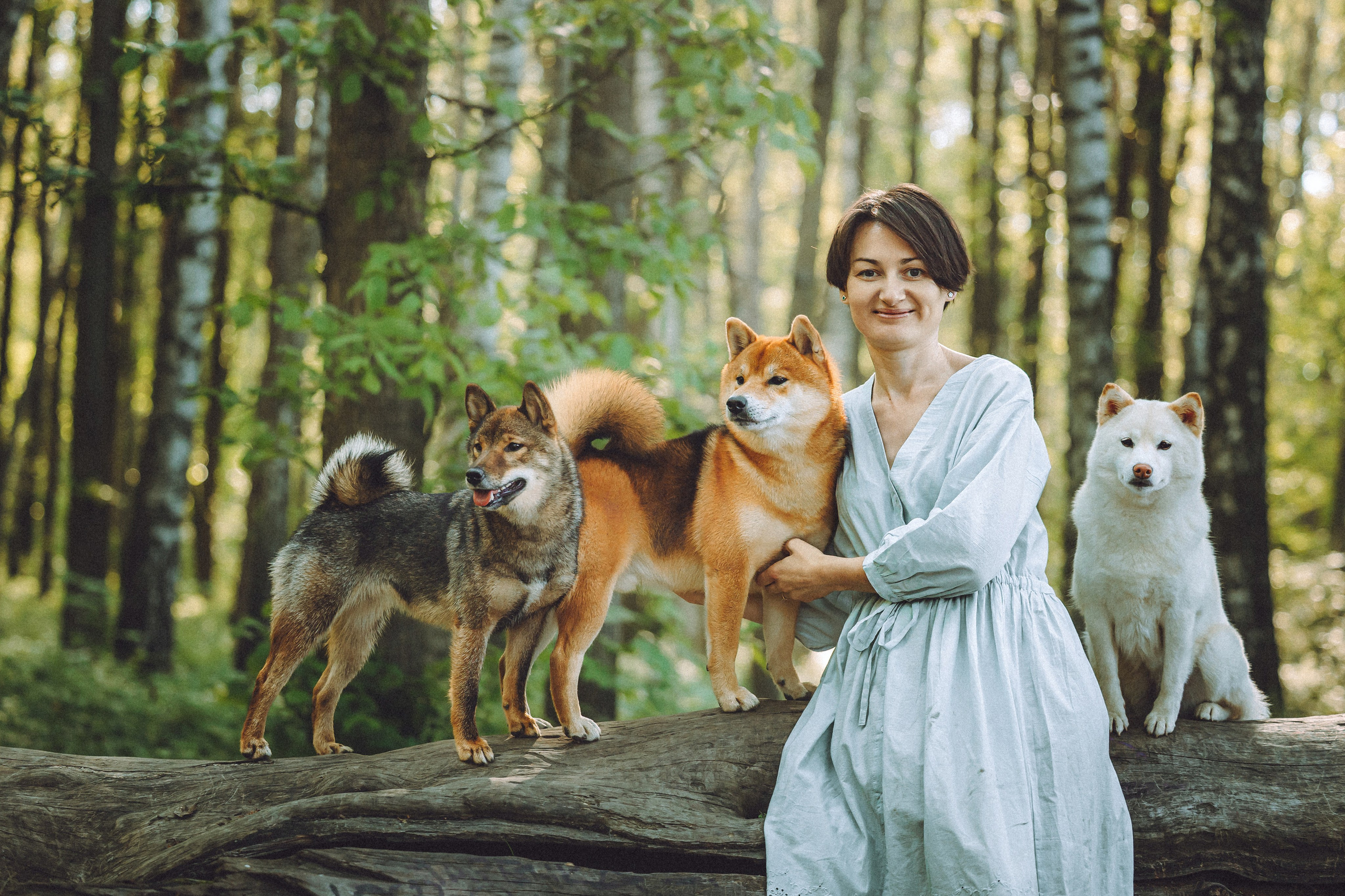 Шед, Цири, Чиби, Цера и их семья