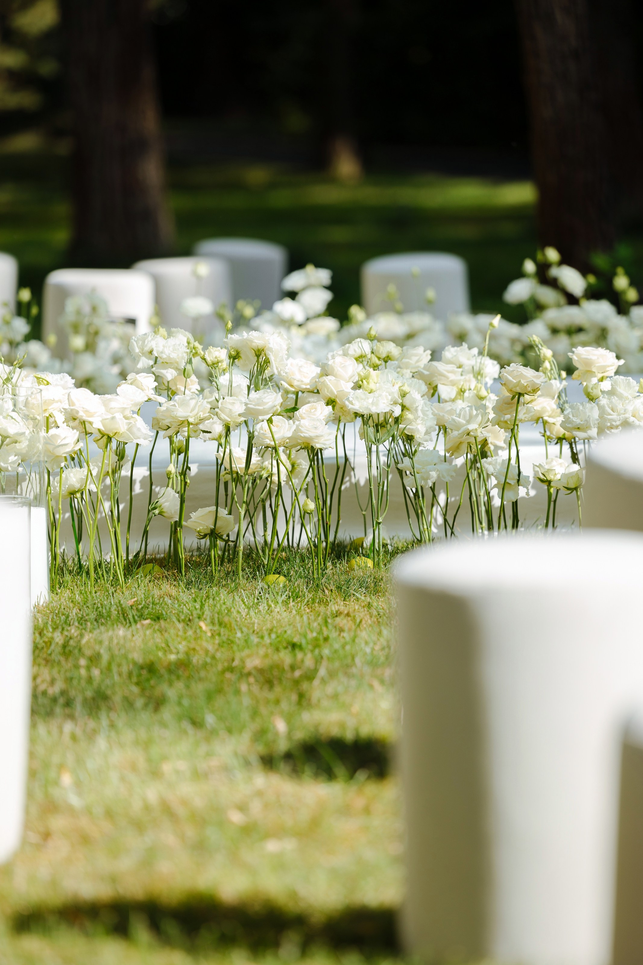 Дмитрий и Николь. Свадебный фотограф в Ростове — на — Дону Александра Пивоварова