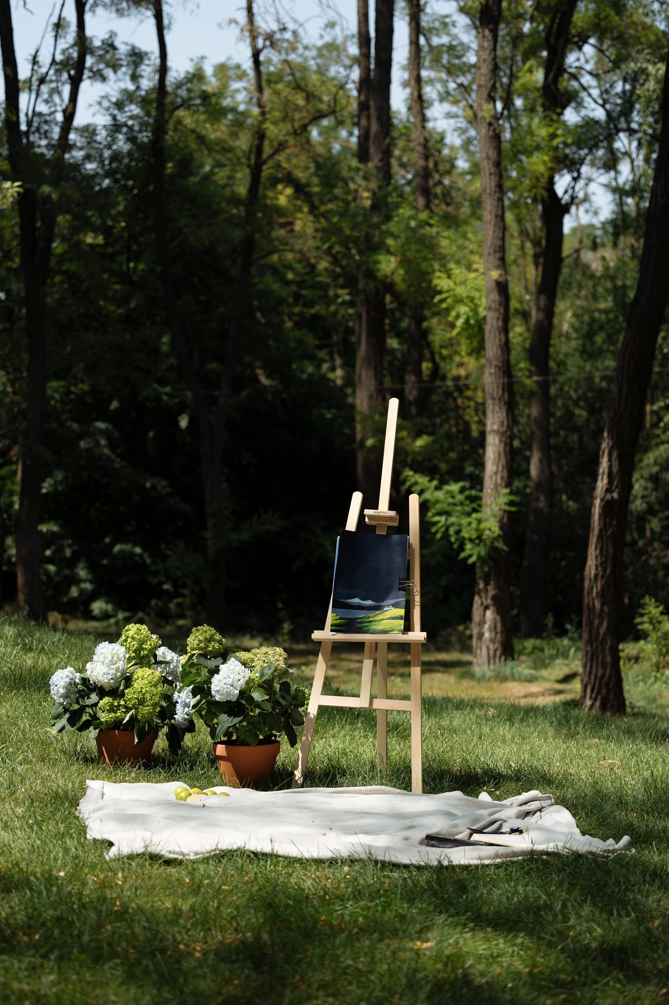 Дмитрий и Николь. Свадебный фотограф в Ростове — на — Дону Александра Пивоварова
