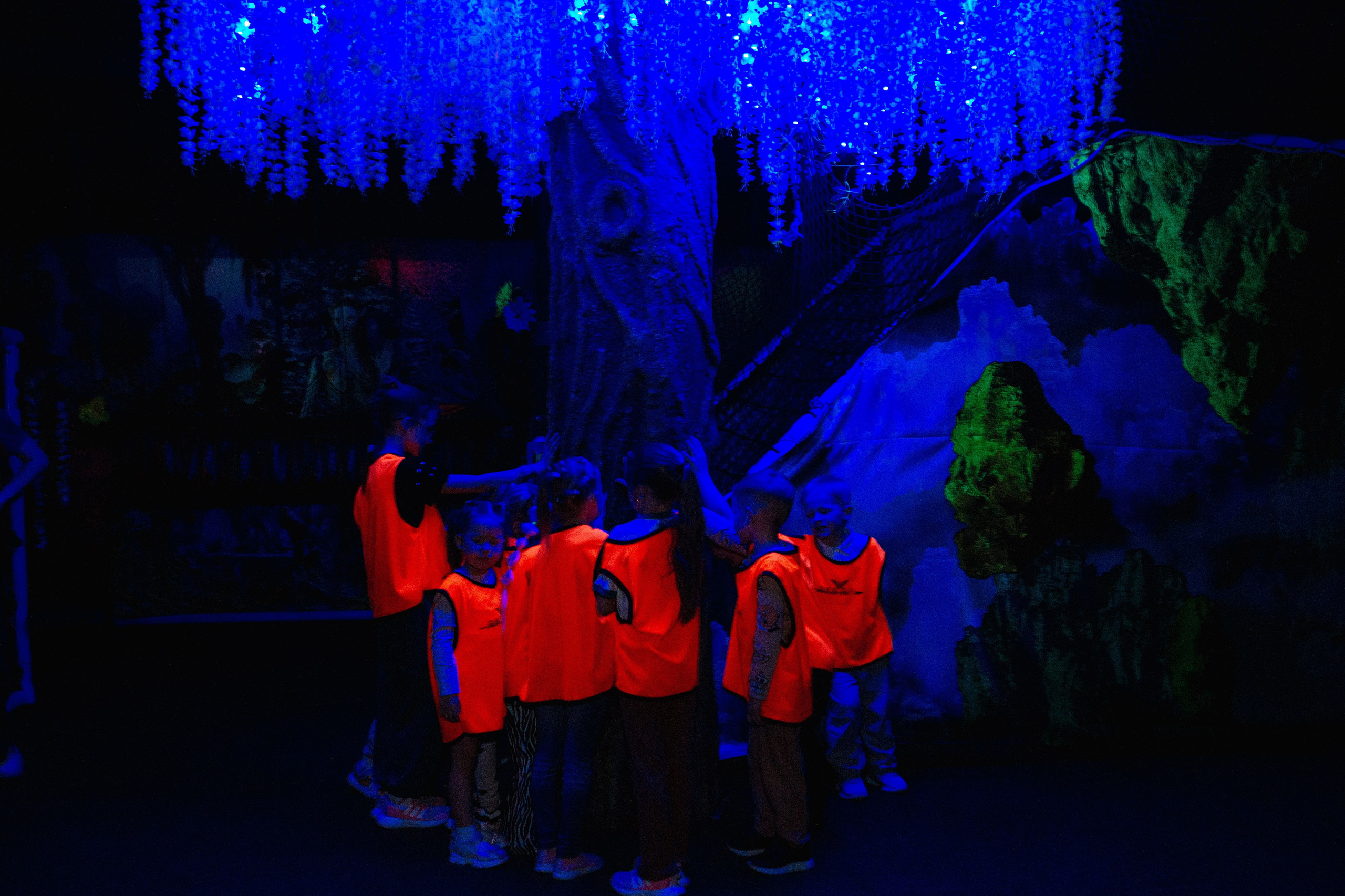 День рождения в Аватаре. Фотограф в Красноярске по выгодной цене