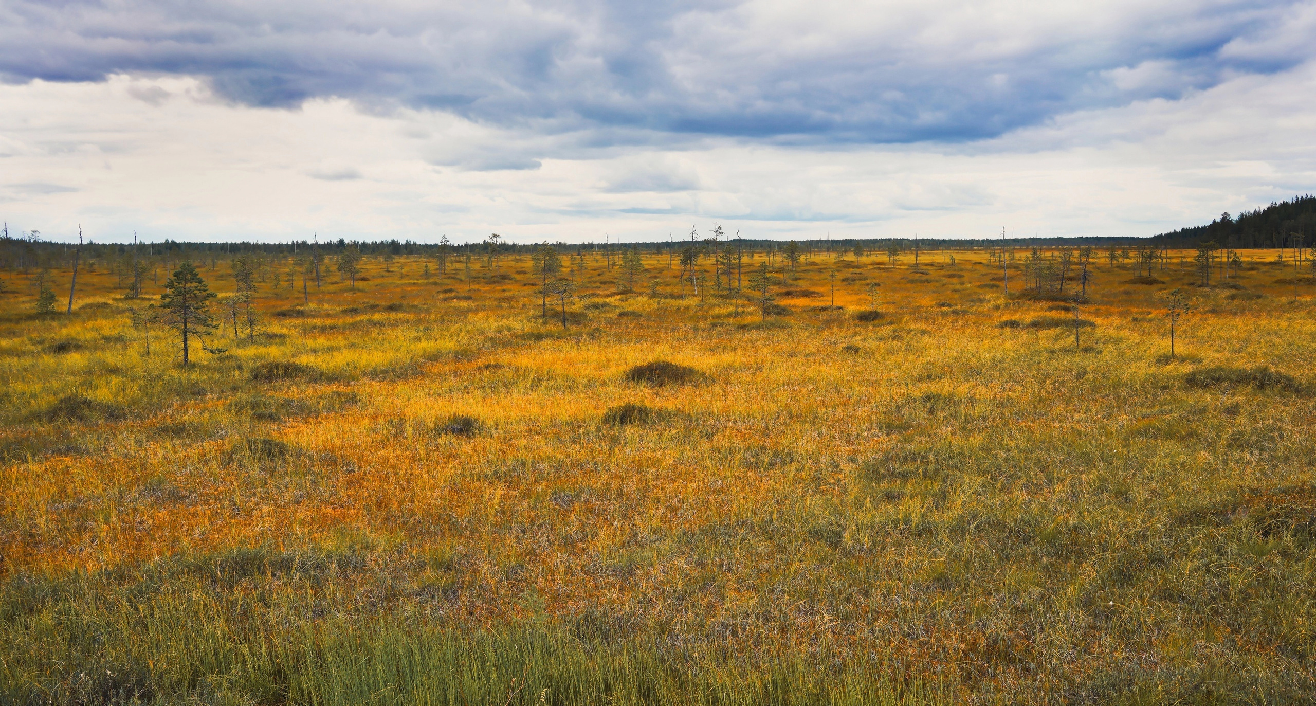 Фотограф Семён Родов