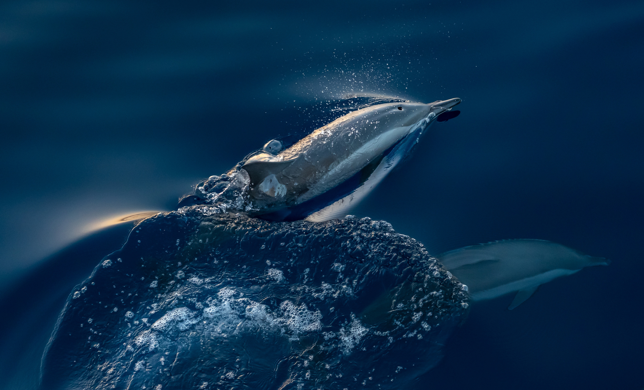 Фотограф Семён Родов