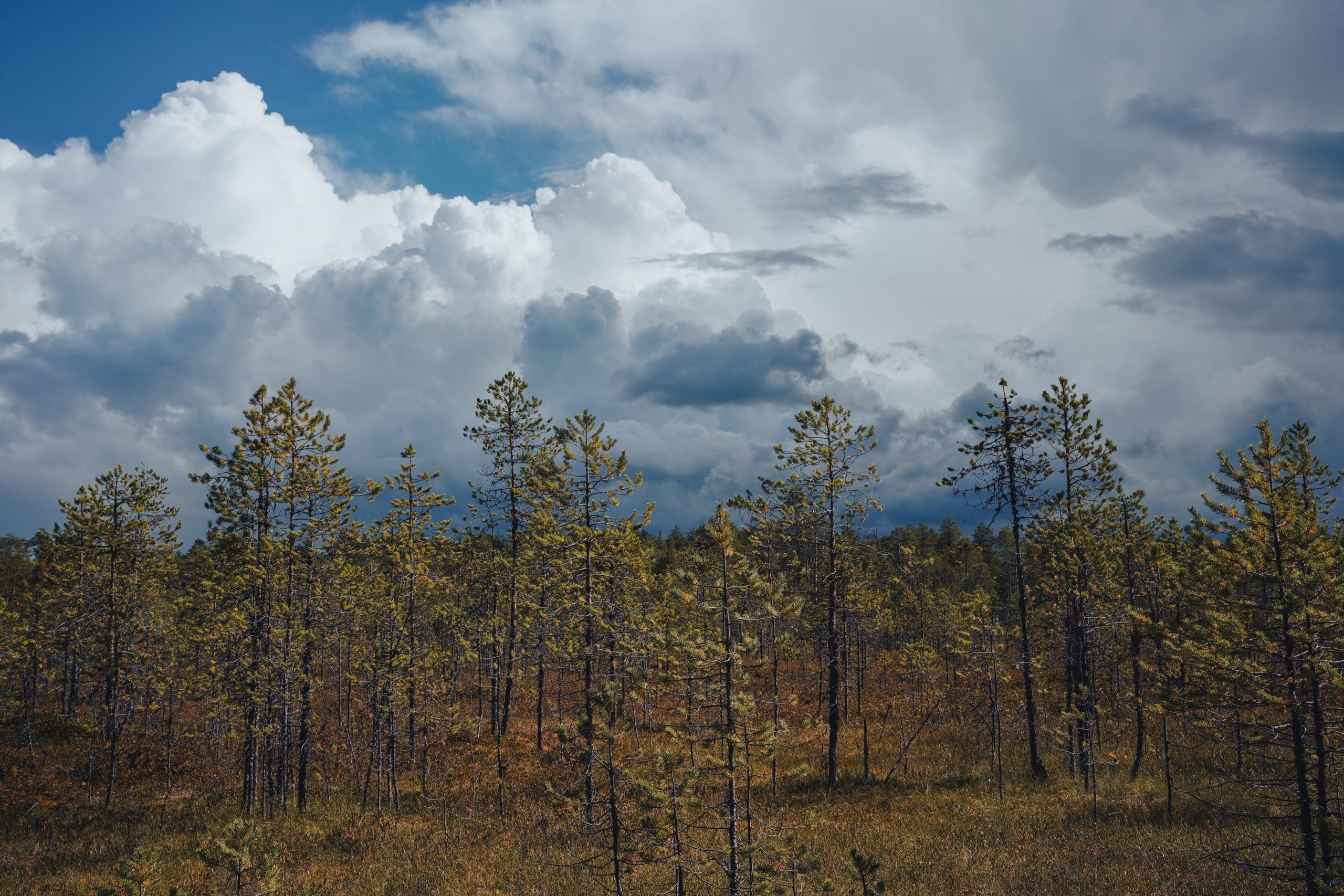Фотограф Семён Родов