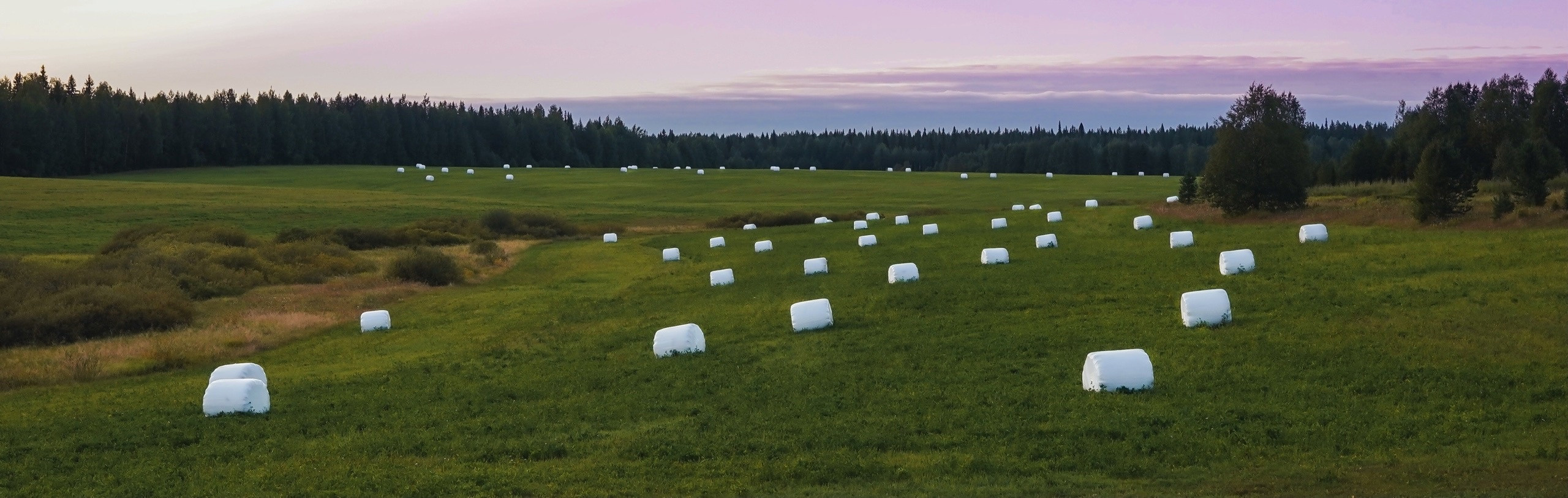 Фотограф Семён Родов