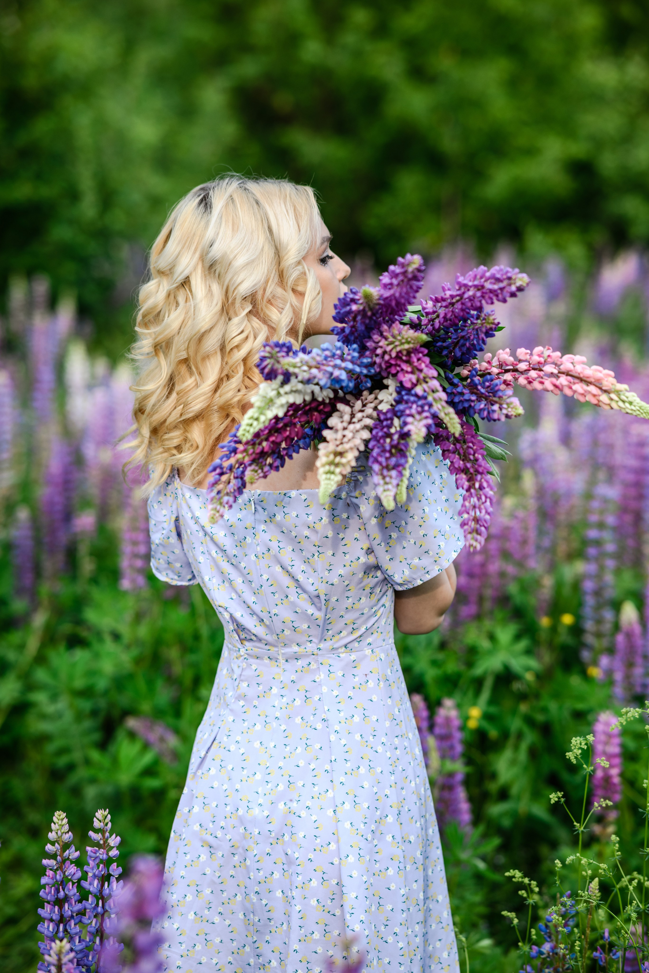 Владлена в люпинах. Свадебный и семейный фотограф в Дзержинске Екатерина Шулакова