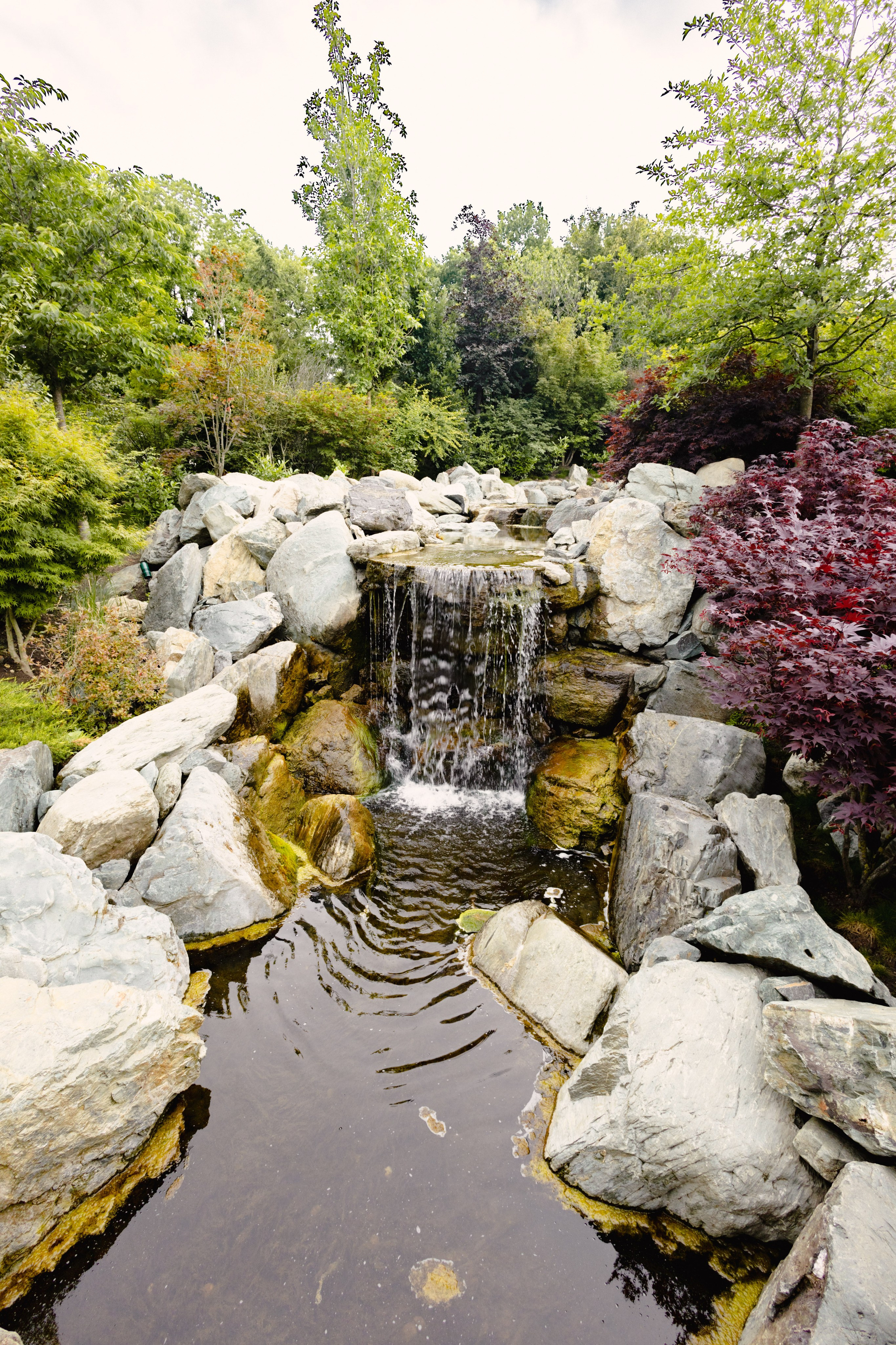 Японский сад в Краснодаре. Профессиональный фотограф и видеооператор