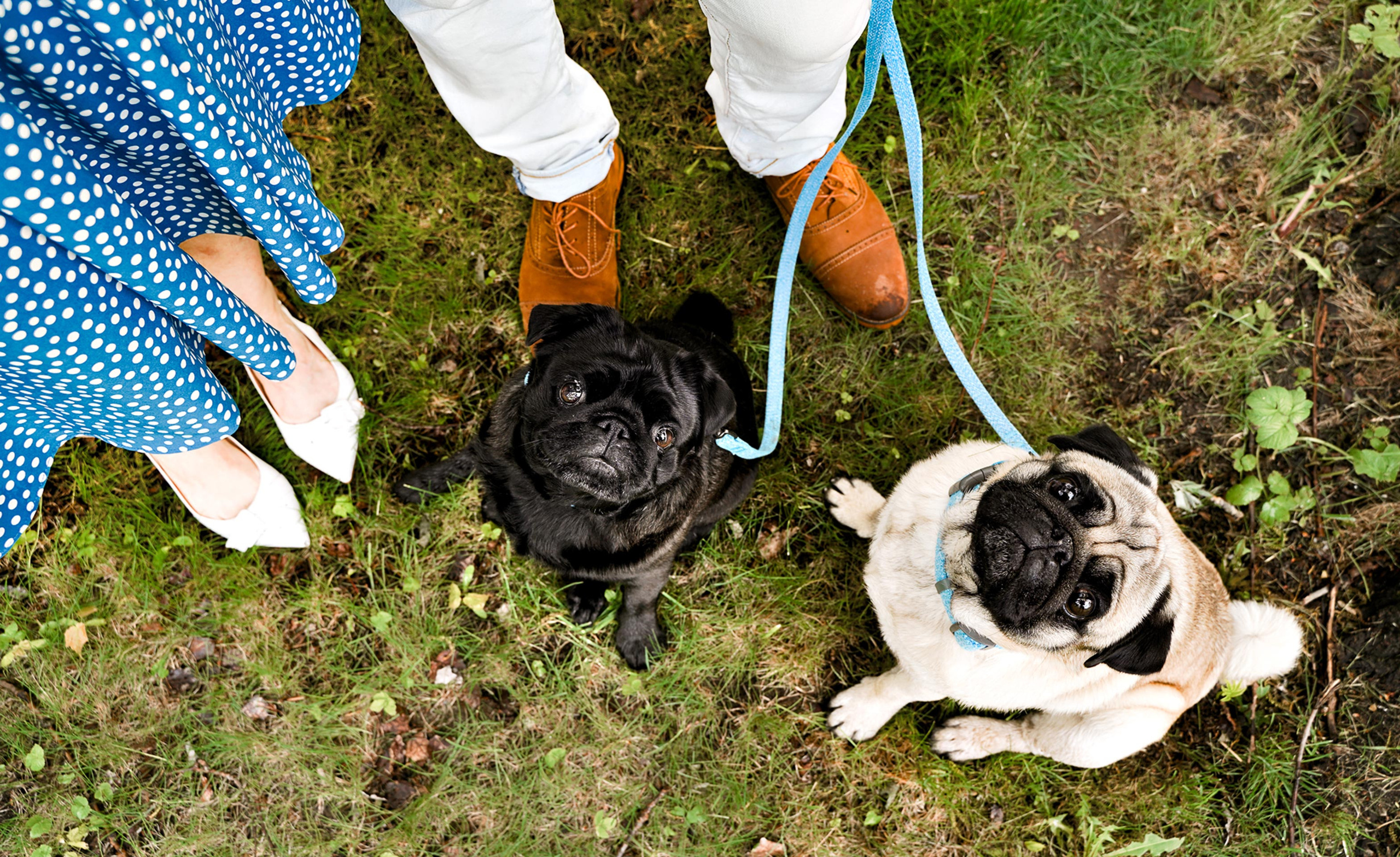 Прогулка. Артем Ракаев — фотограф и видеомейкер из Санкт-Петербурга
