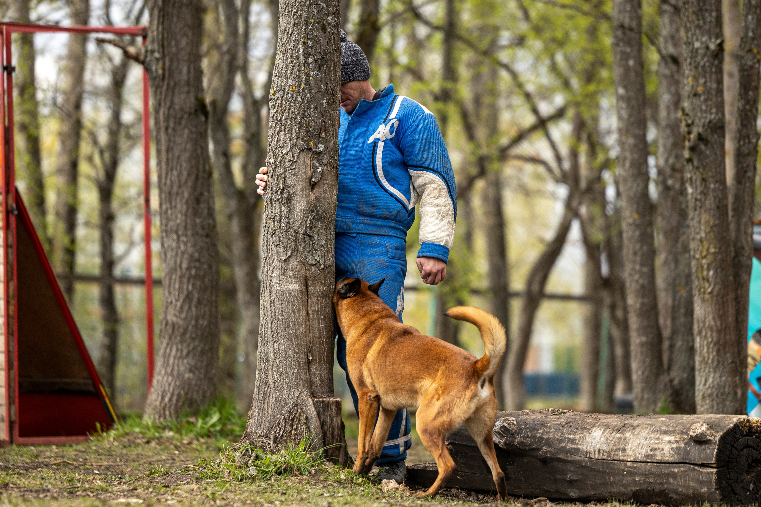 Квалификационные состязания по мондьорингу г. Вологда 11.05.24. Фотограф-анималист Анна Маринич
