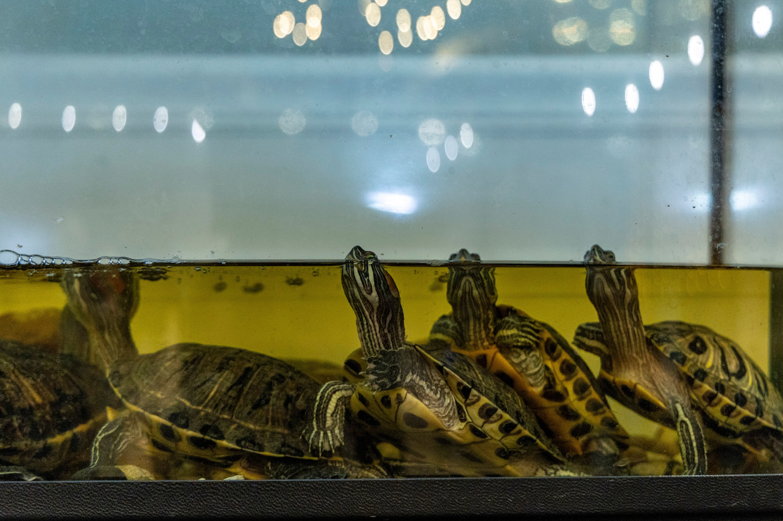 Свадебная фотосессия свадебный фотограф Татьяна Марсуверских свадебная фотопрогулка Москва Жуковский. Фотограф для маркетплейсов, фотоуслуги в Жуковском Татьяна Марсуверских