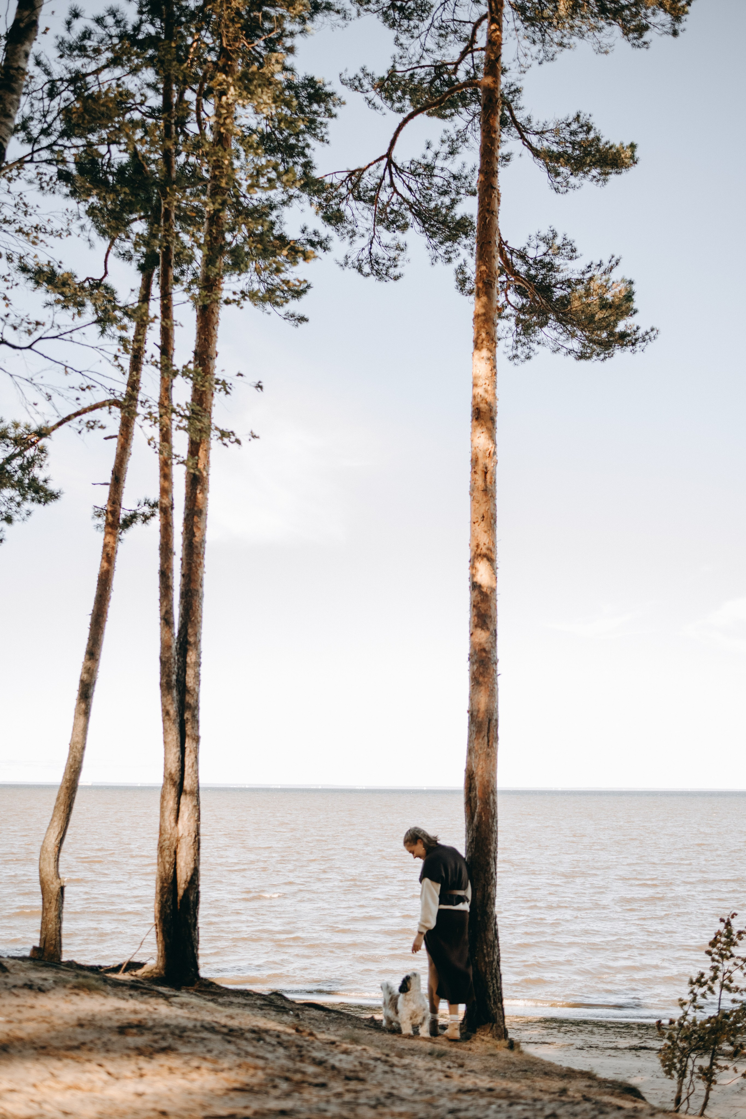 Настя и Франт. Фотограф — Анималист | Санкт-Петербург