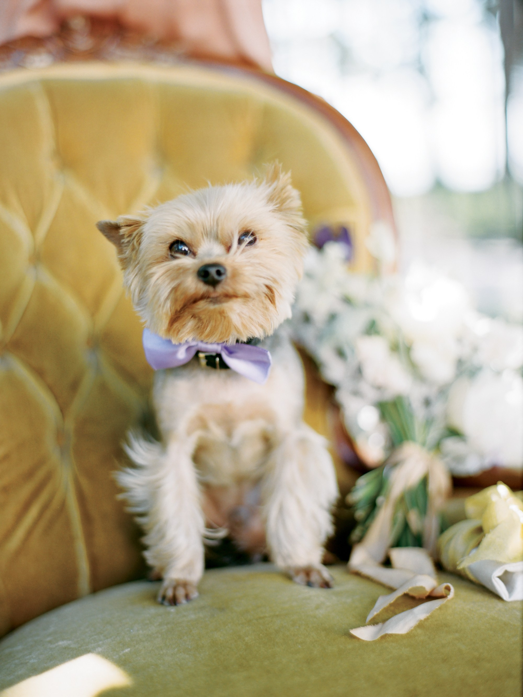 Ксения и Алексей, свадьба на Финском заливе. Изящная фотография | Ксения Милушкина