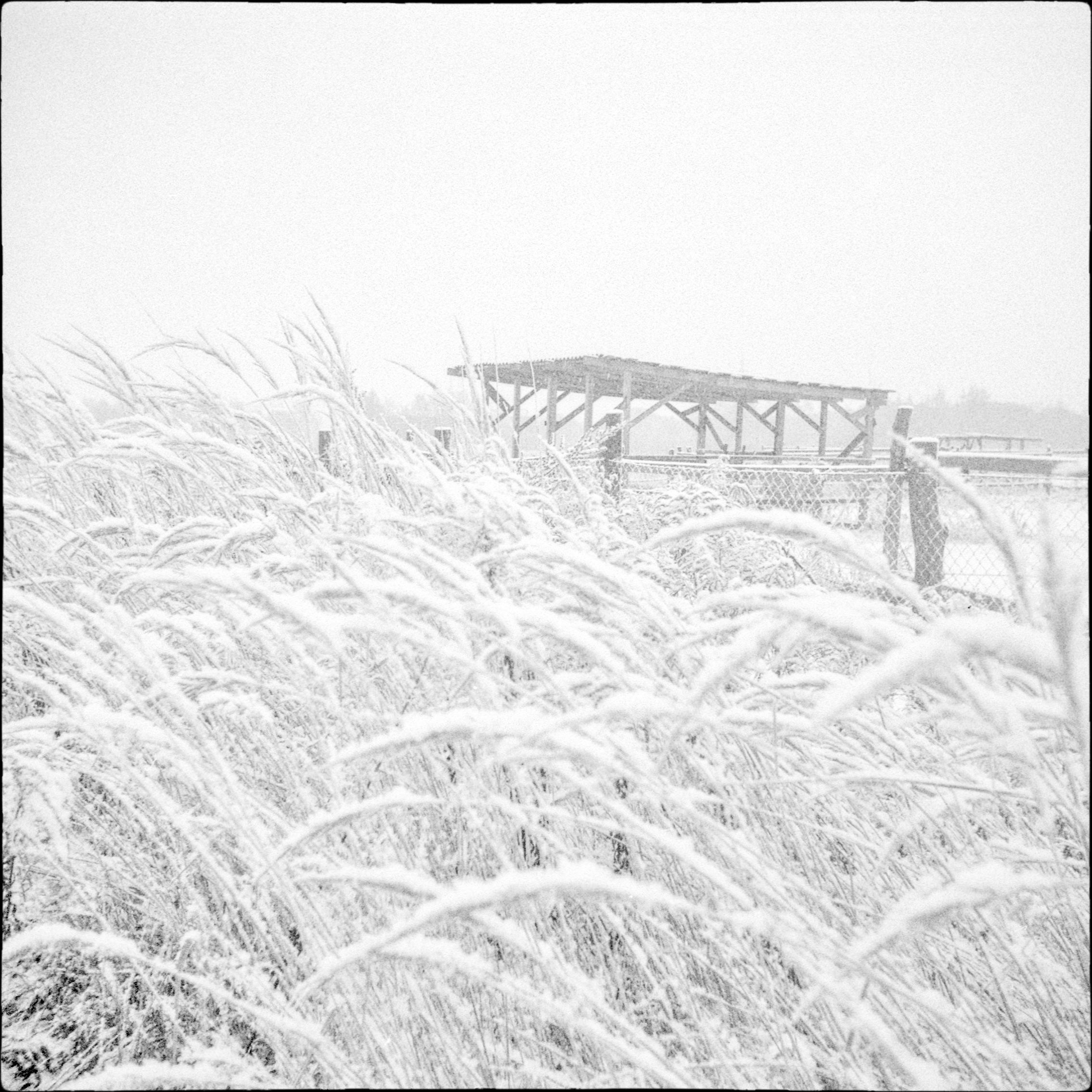 Пленочная фотография Олег Кузнецов. Artkapella|Олег Кузнецов