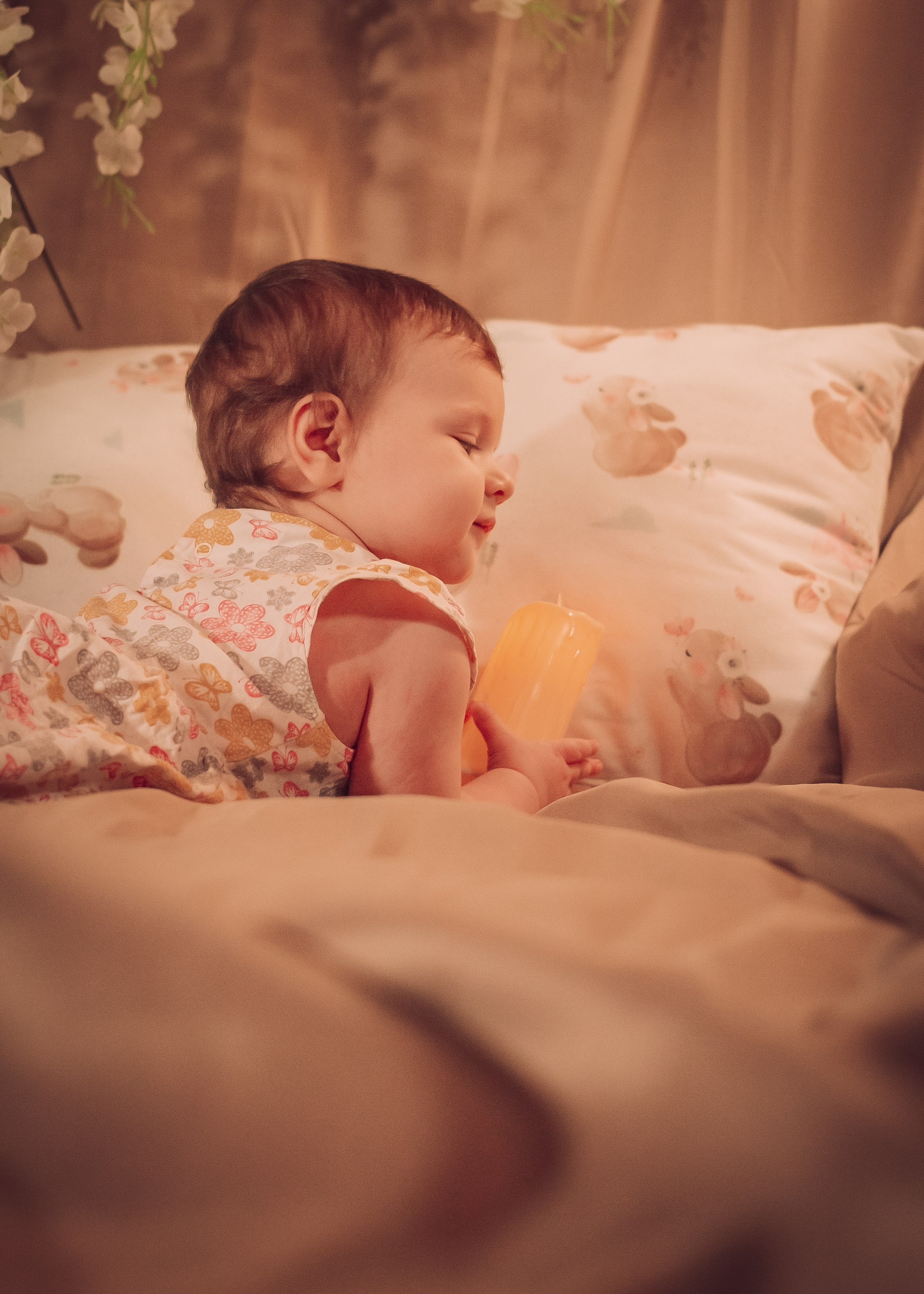 Anastasia. Фотограф Зеленоград, Москва