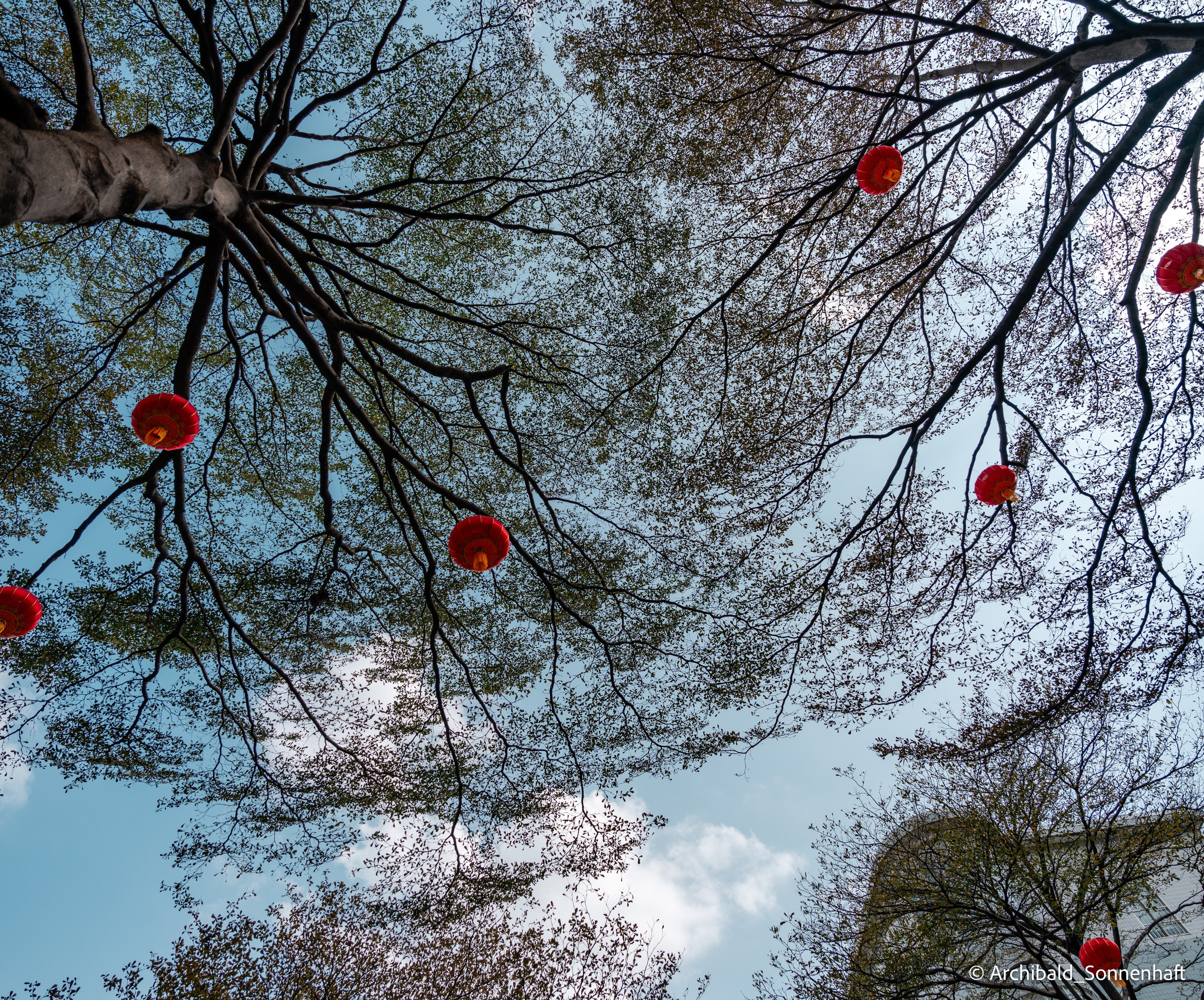 Chinese Lanterns Day. Photographer in Guangzhou, China. Archibald Sonnenhaft