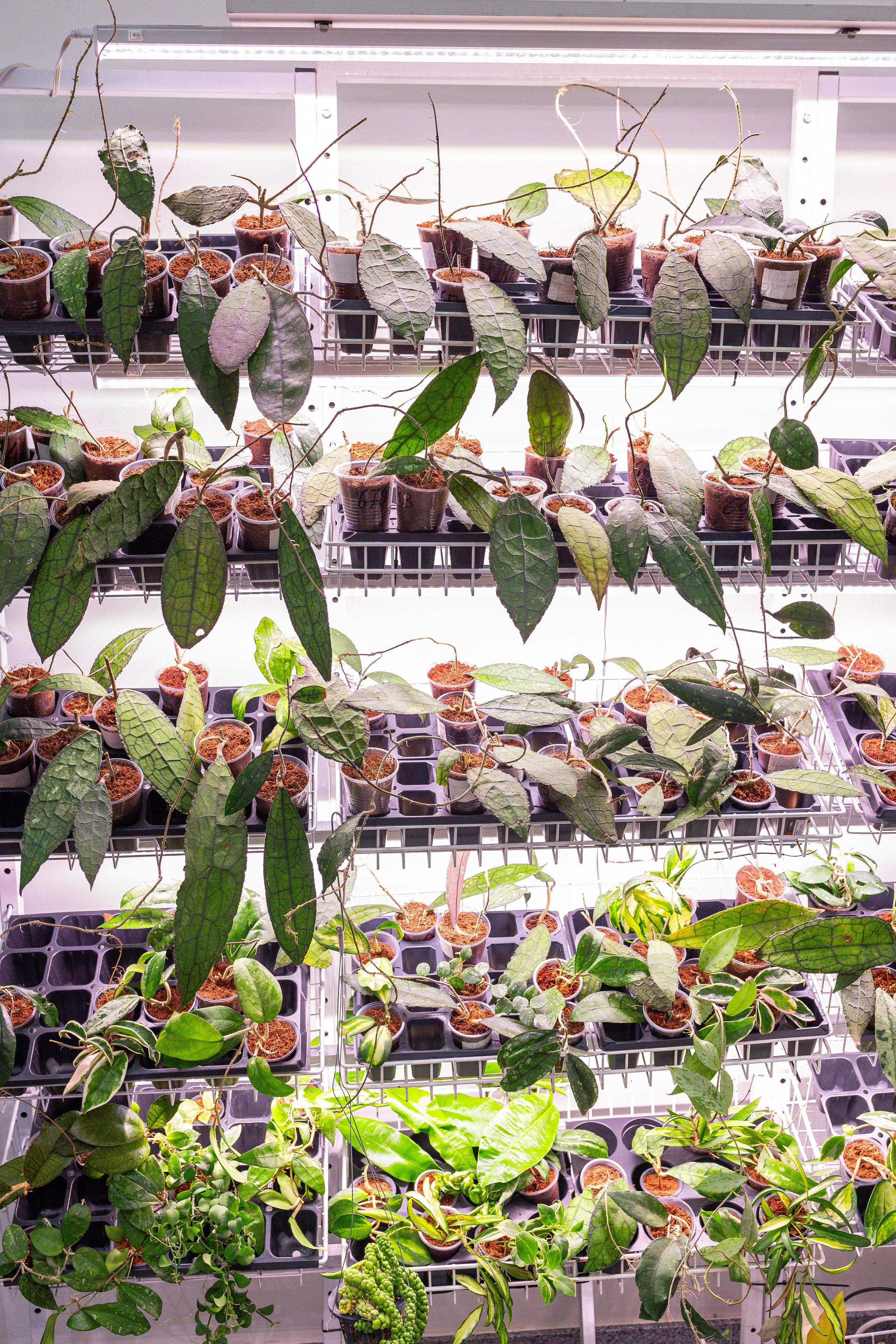 Монстериум 11–12 октября. Александра Куликова фотограф, Москва