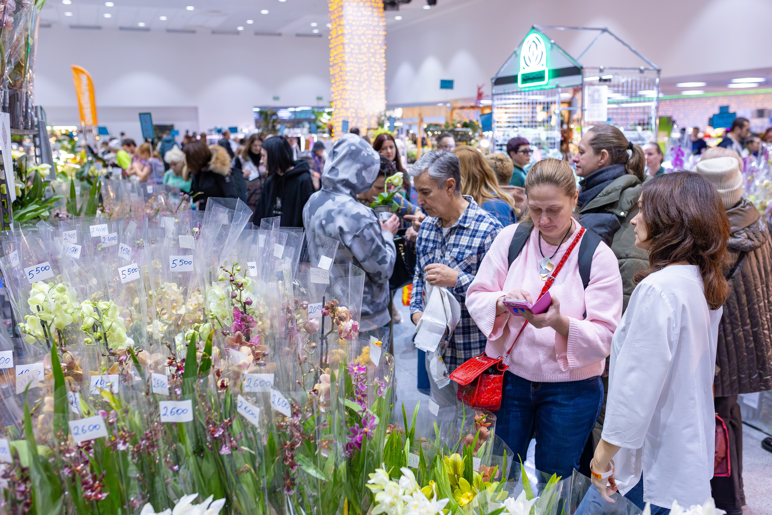 Орхидиум 12.2025. Александра Куликова фотограф, Москва