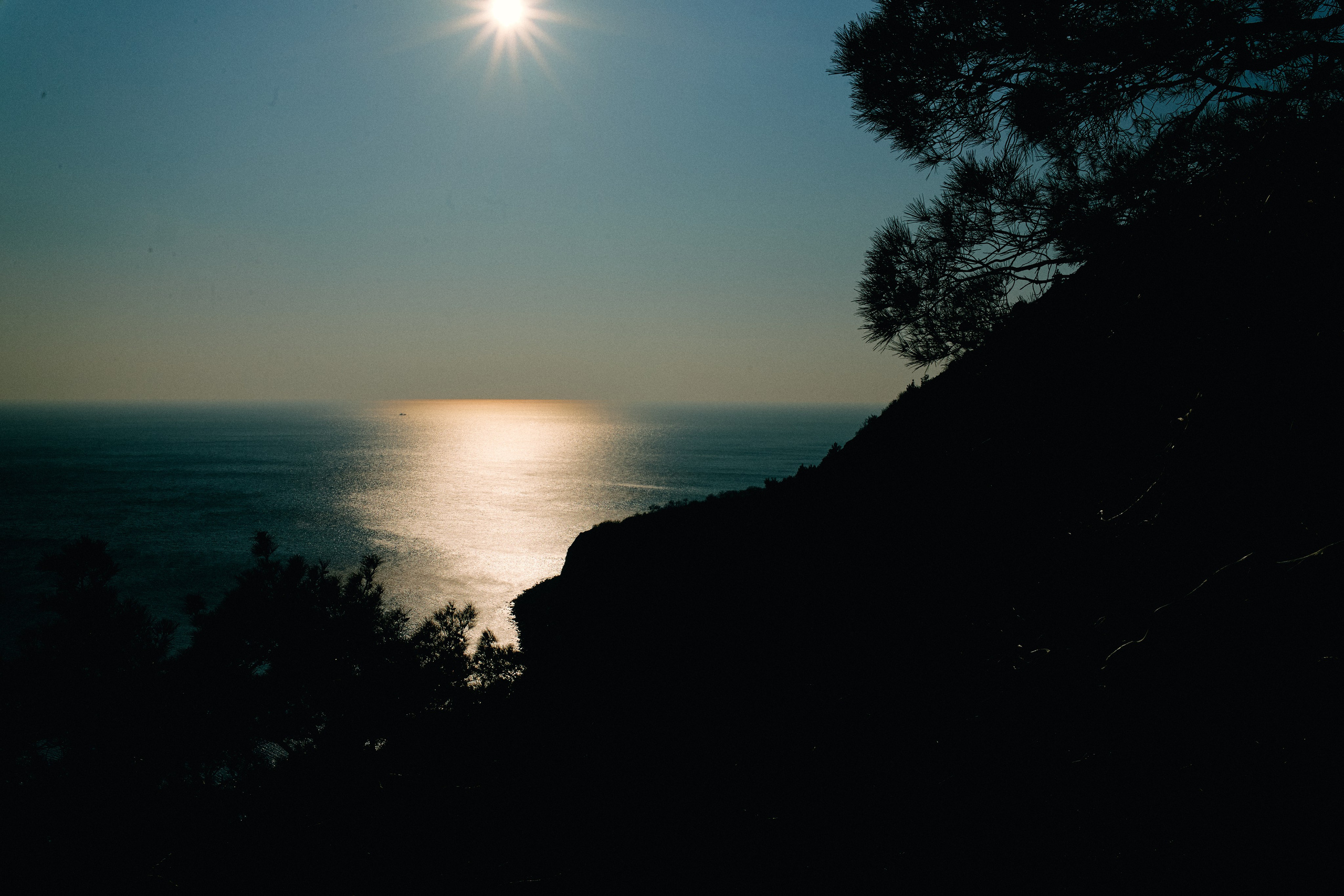 Юг России. Профессиональный Фотограф во Владимире, в Москве и в Суздале — Полина Романычева