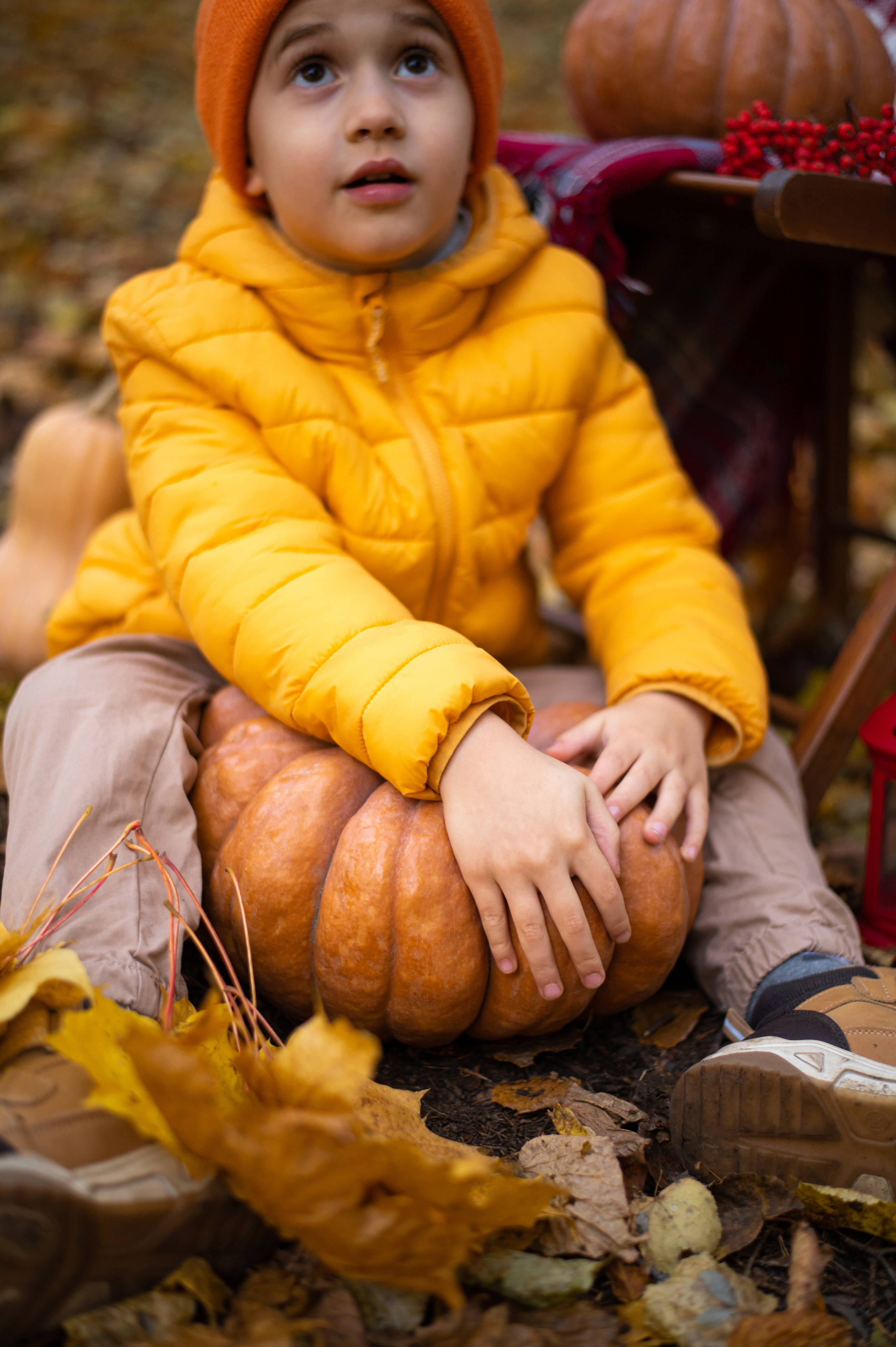 Осень в Шуваловском парке. Фотограф Санкт-Петербург | Дарья Першина