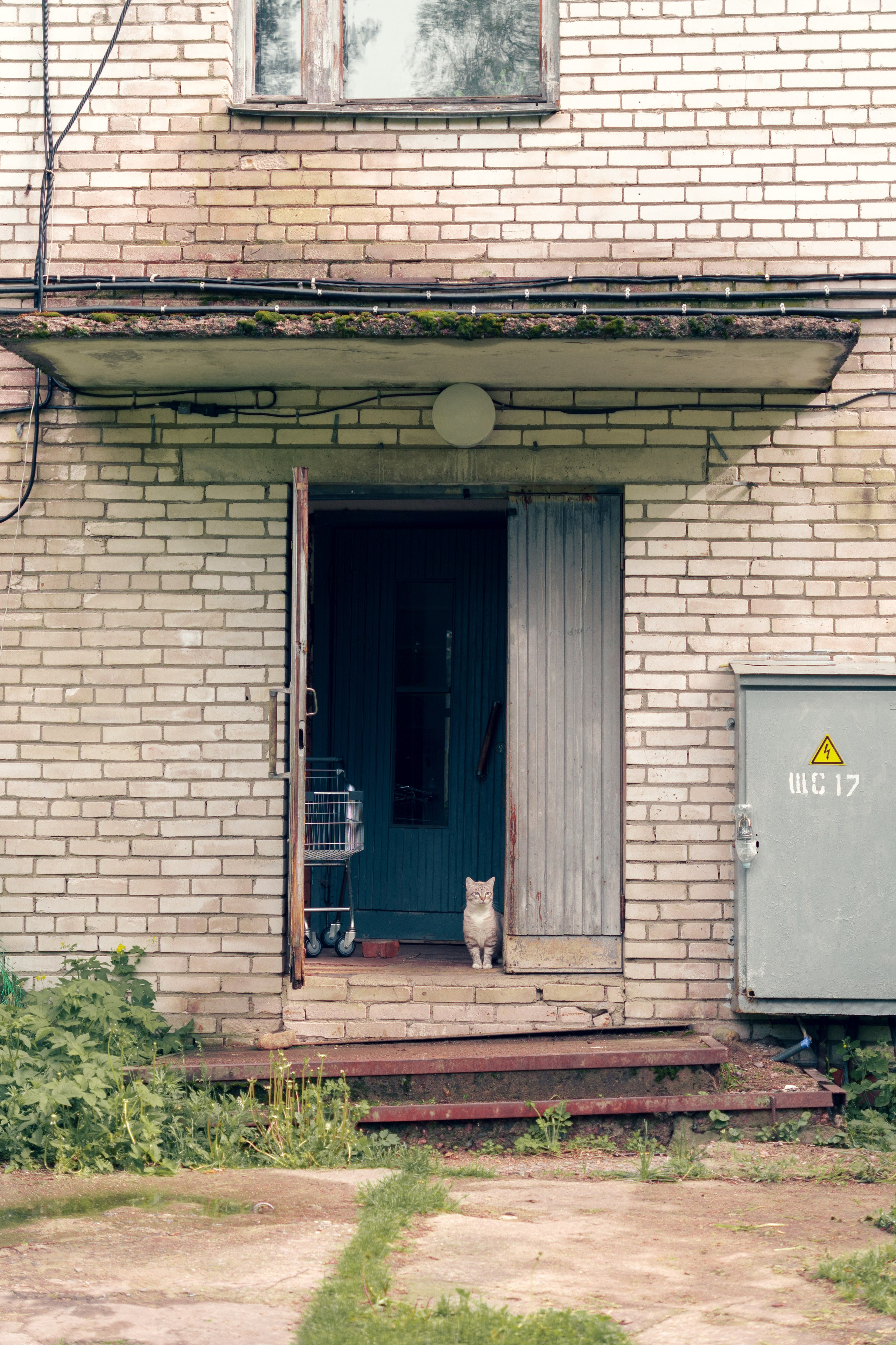 Природа. Фотограф в Санкт-Петербурге Ибрагимова Алина