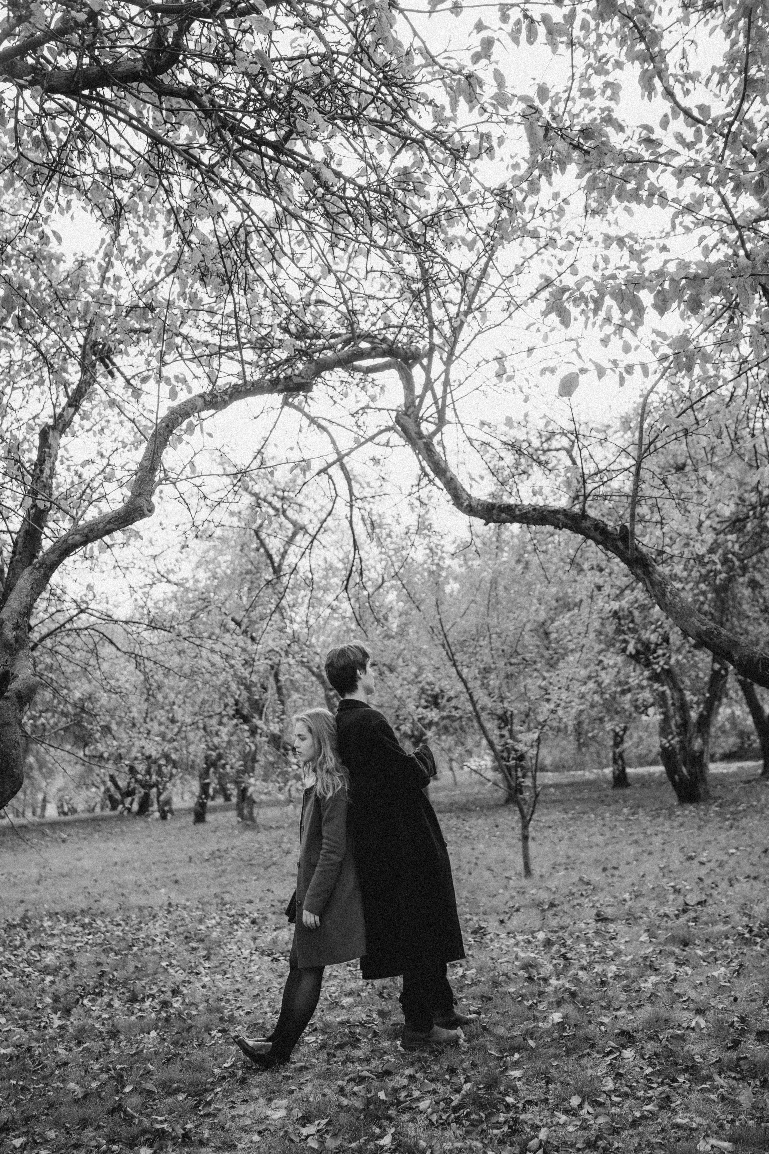 Галки, ветки и любовь. Фотограф Москва Селюкова Юлия