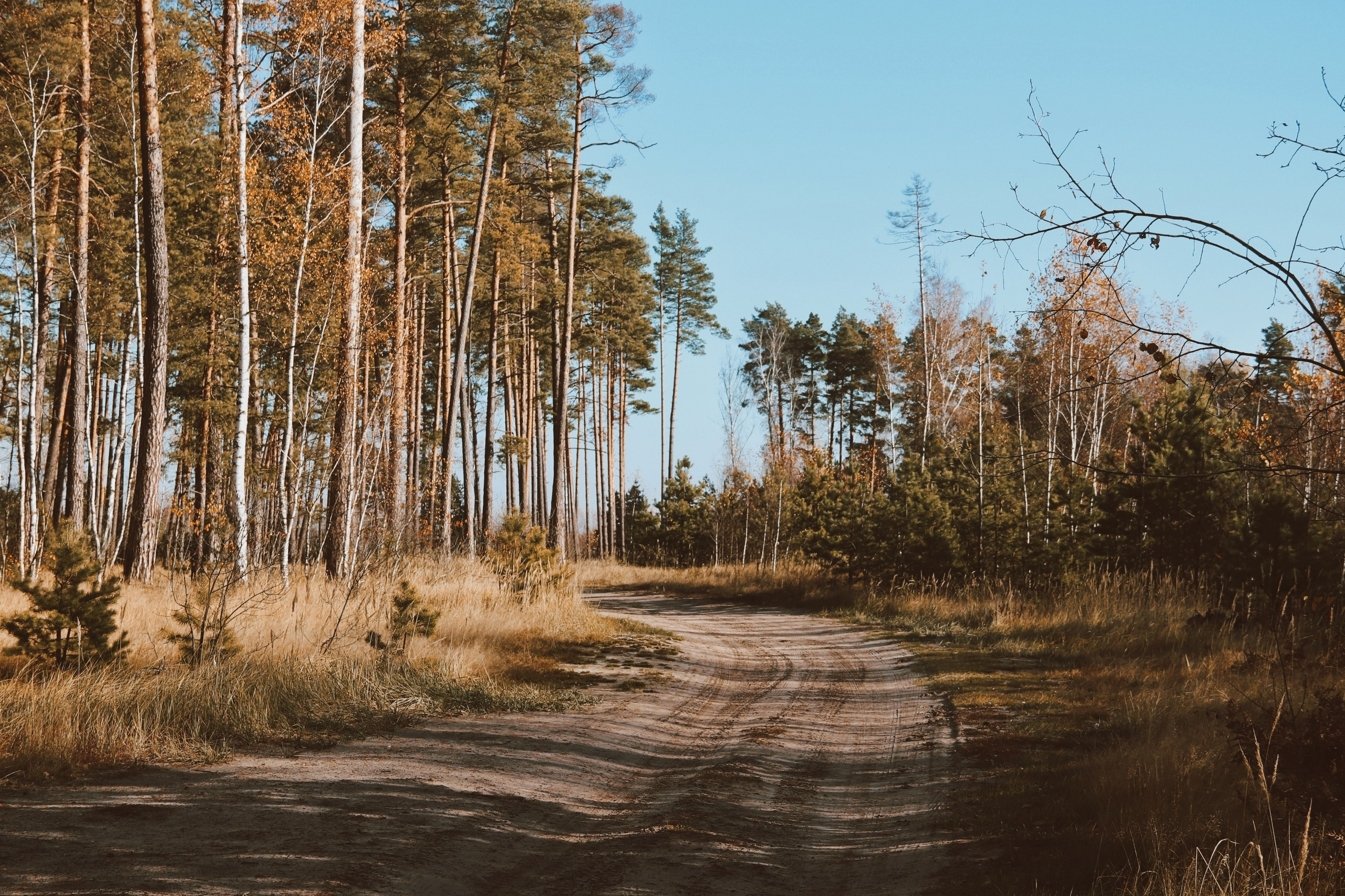 По тропе Паустовского. С любовью, фотохудожник