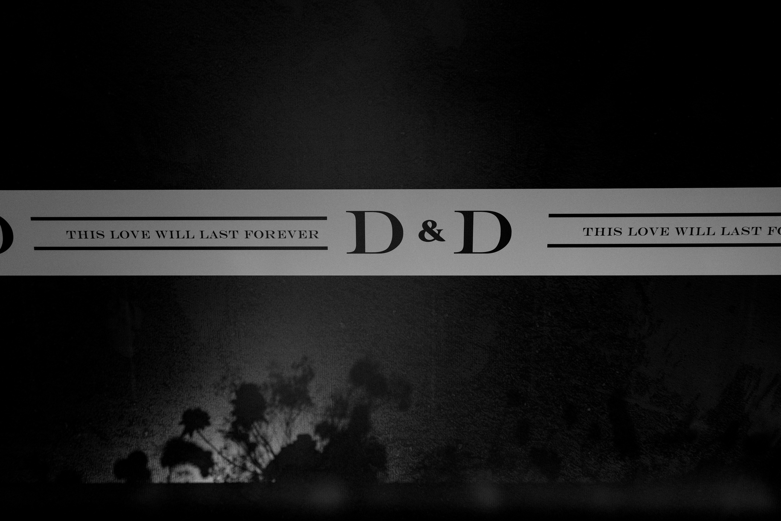 Денис и Дарья. Свадебный и семейный фотограф в Красноярске Прохорова Екатерина