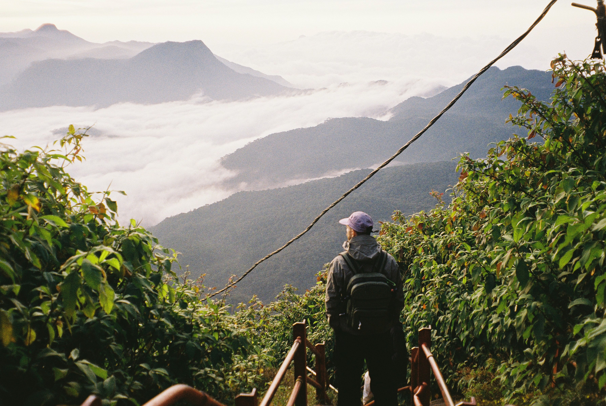 Пленка. Фотограф Ирина Гринько Тольятти Самара Москва