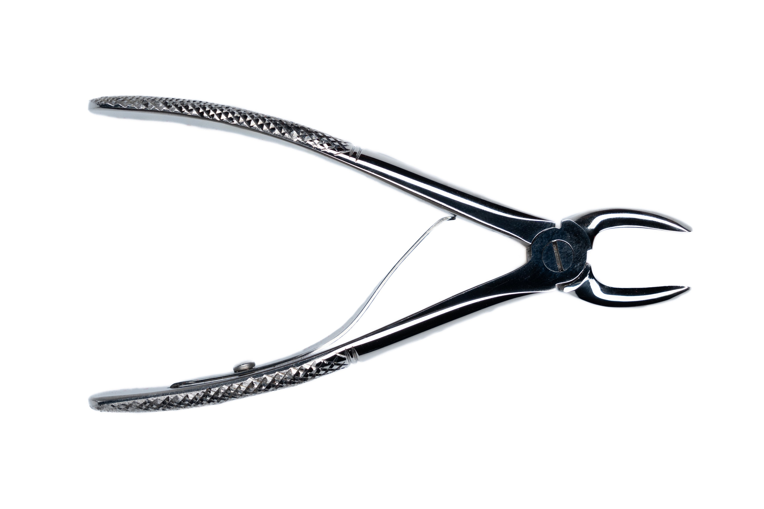 GLOBAL.VET. Репортажный фотограф в Москве Илья Закурин