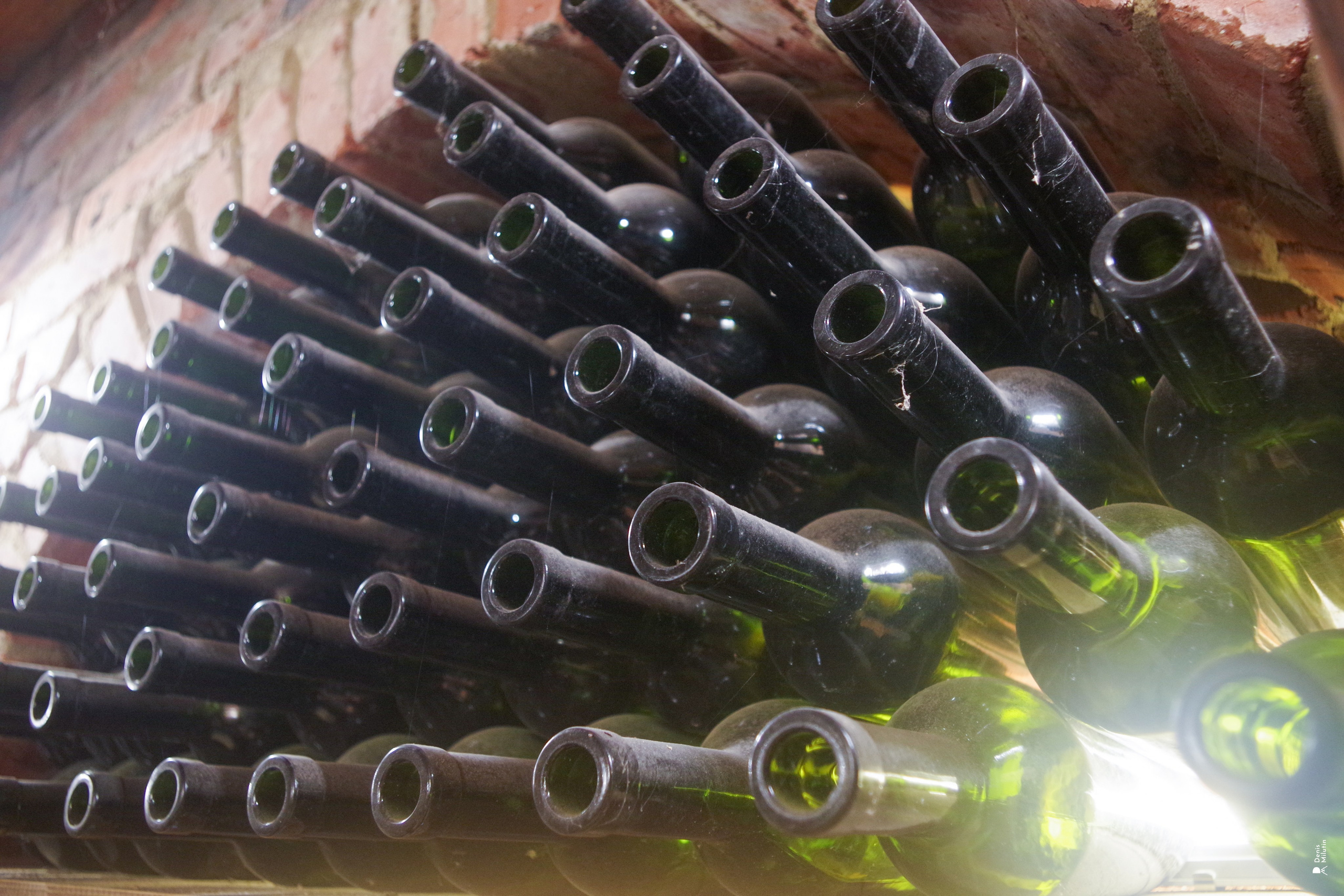 Хони. Портретный фотограф Денис Милютин