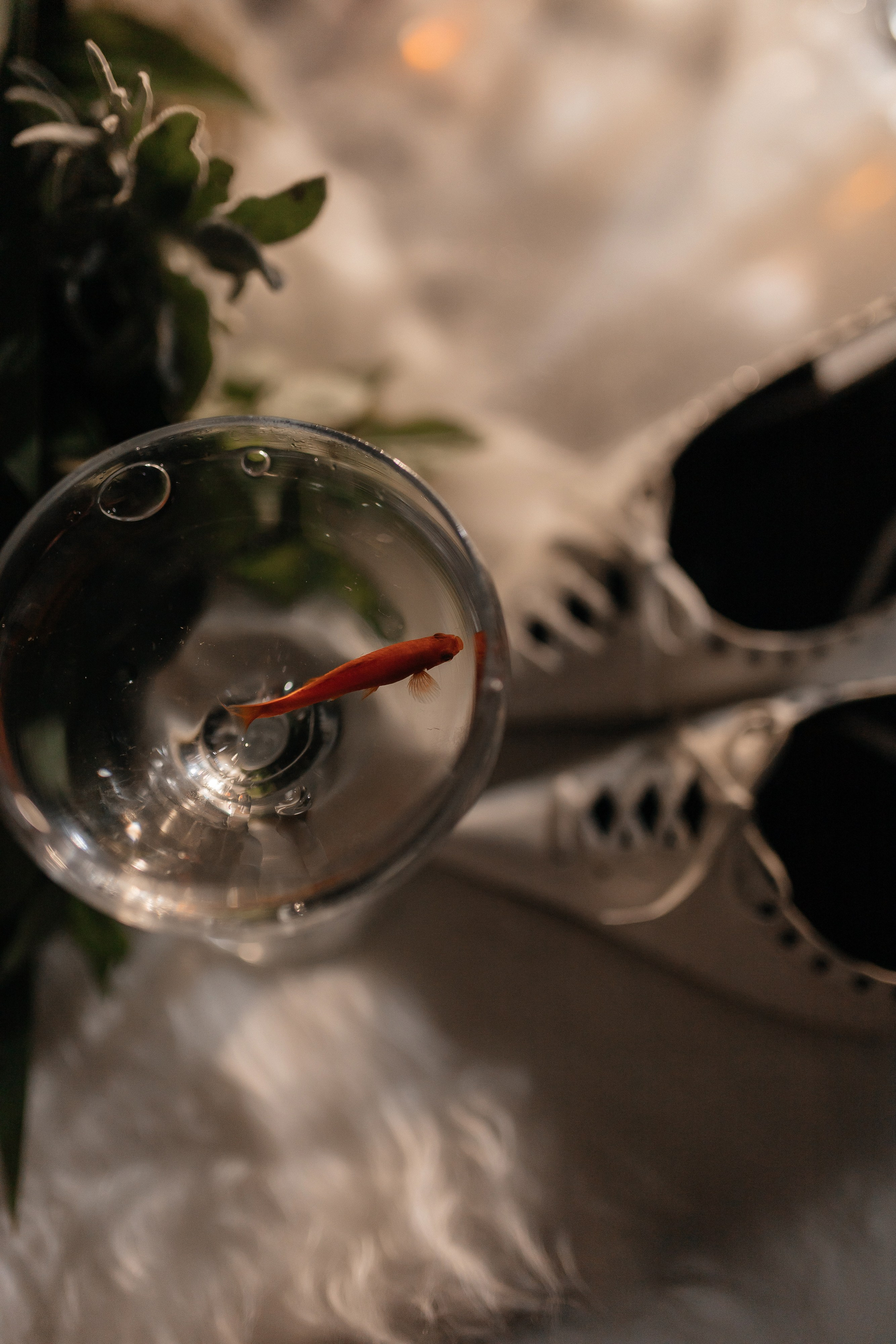 Алина и Александр. Семейный фотограф Губкин/Старый Оскол