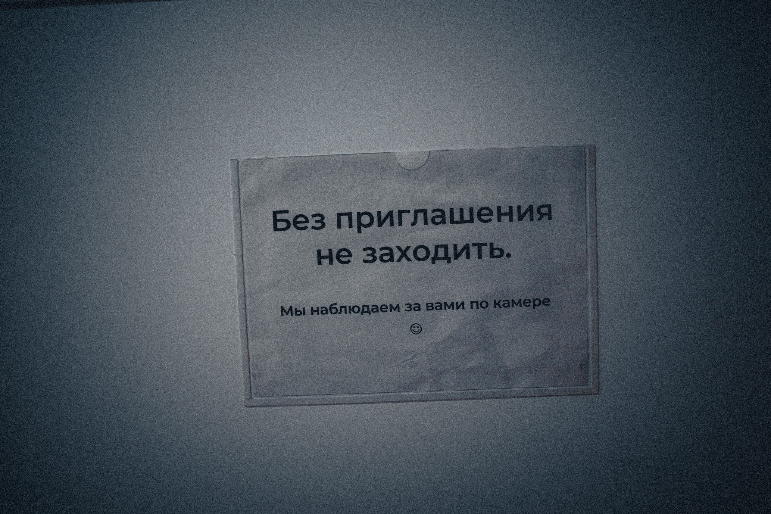 Я шарю (24.12)